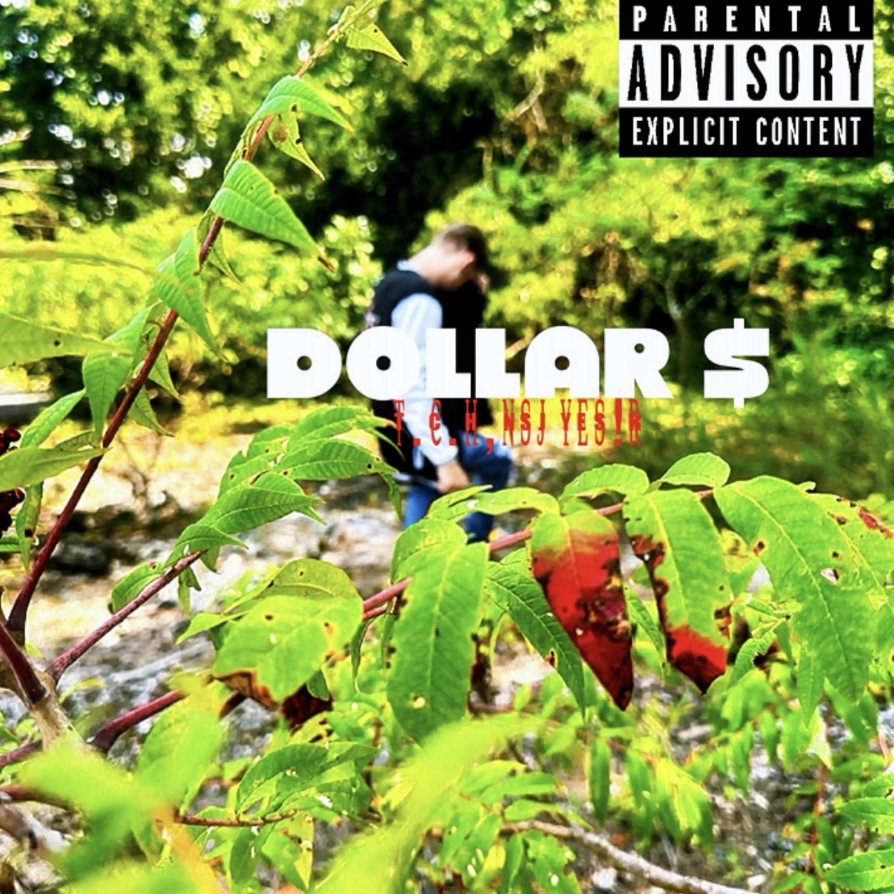 DOLLAR $ artwork