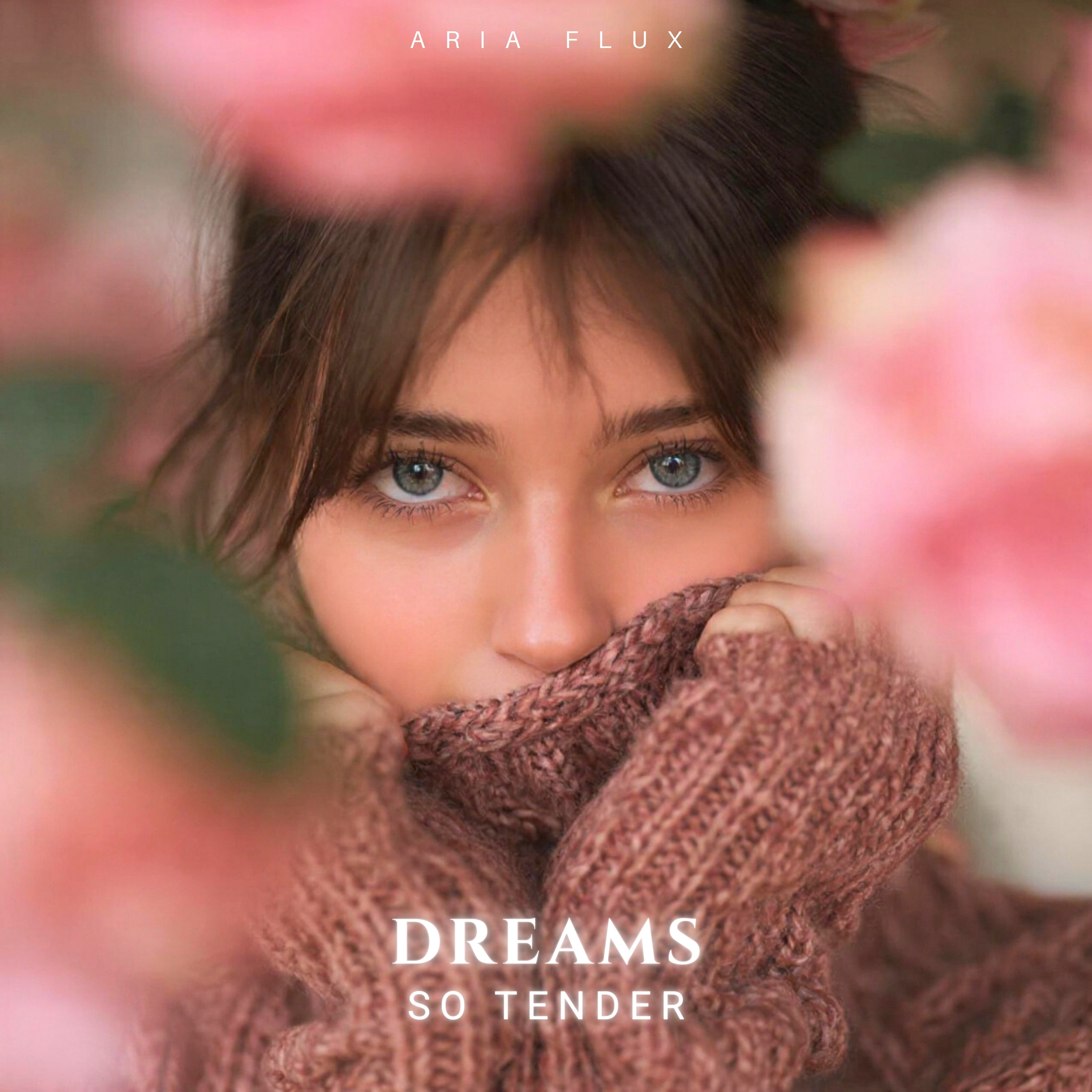 Dreams So Tender artwork