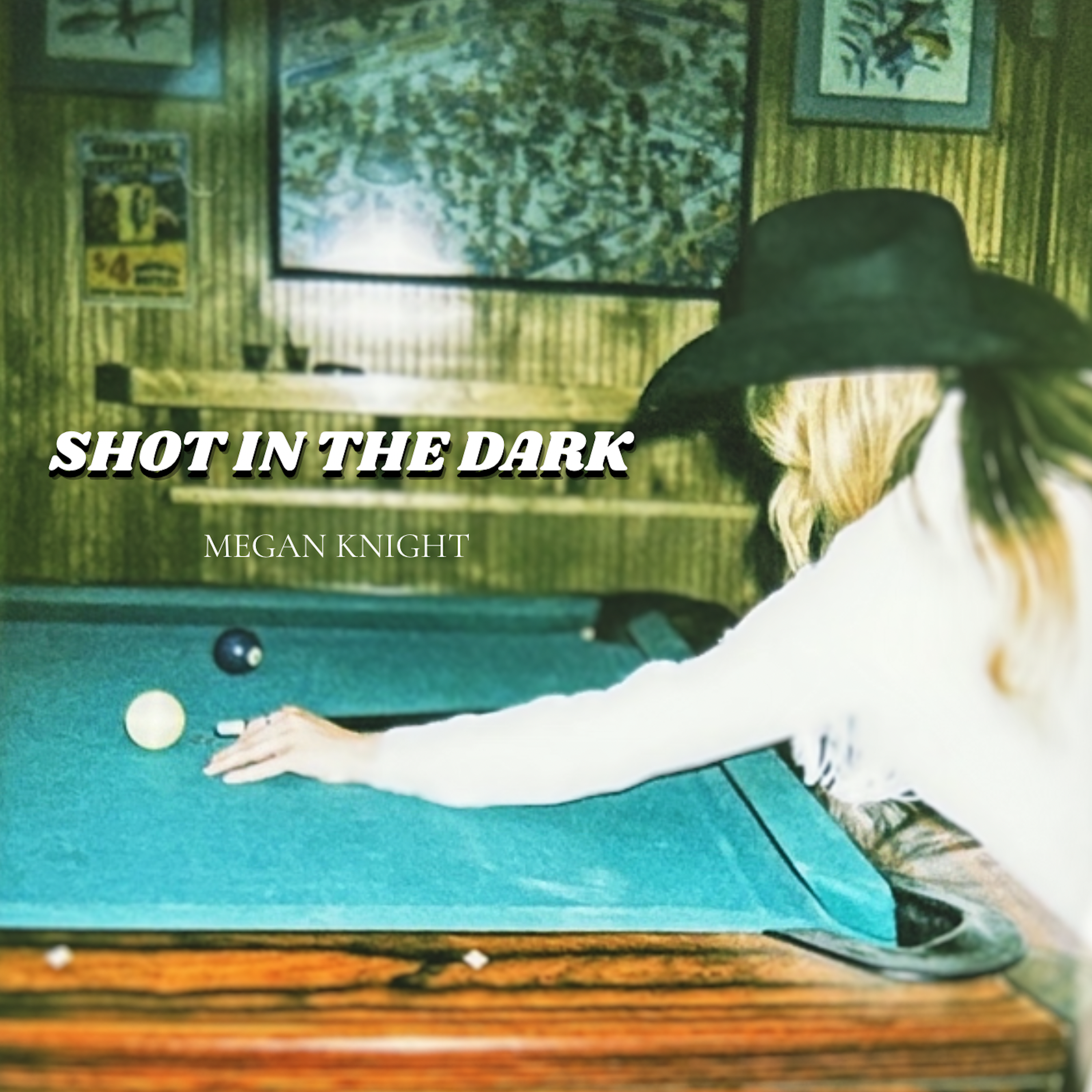 Shot In The Dark artwork