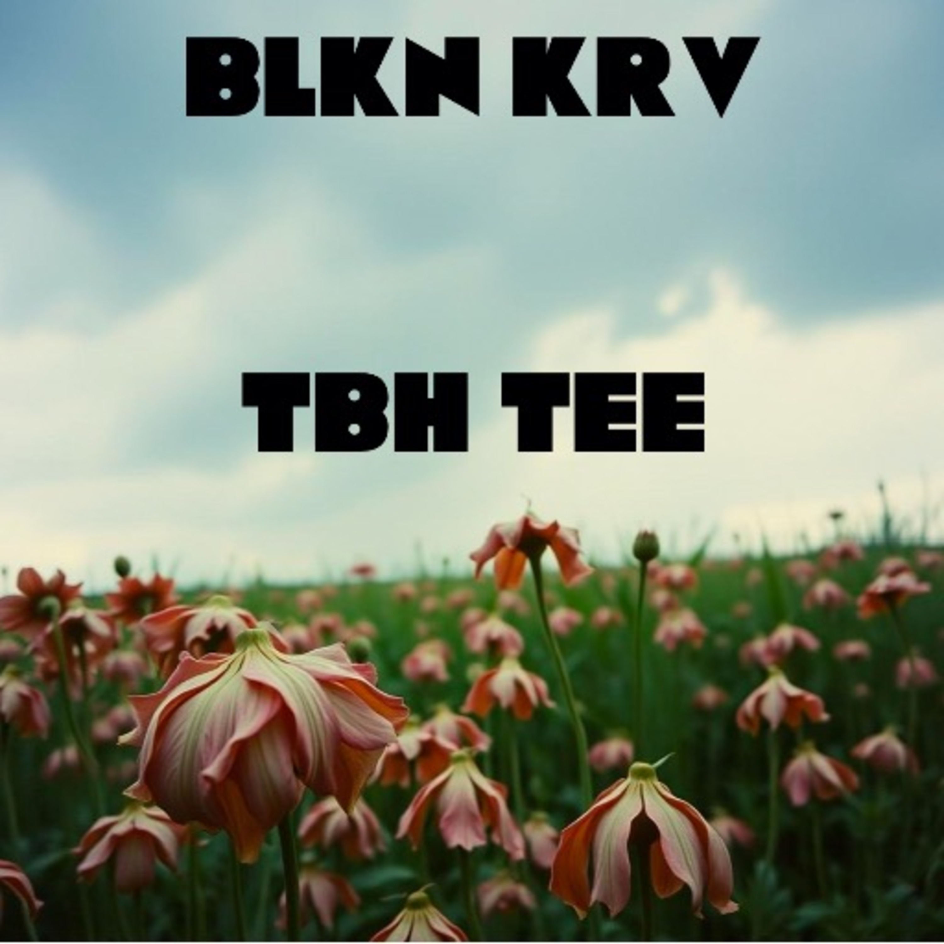 BLKN KRV artwork