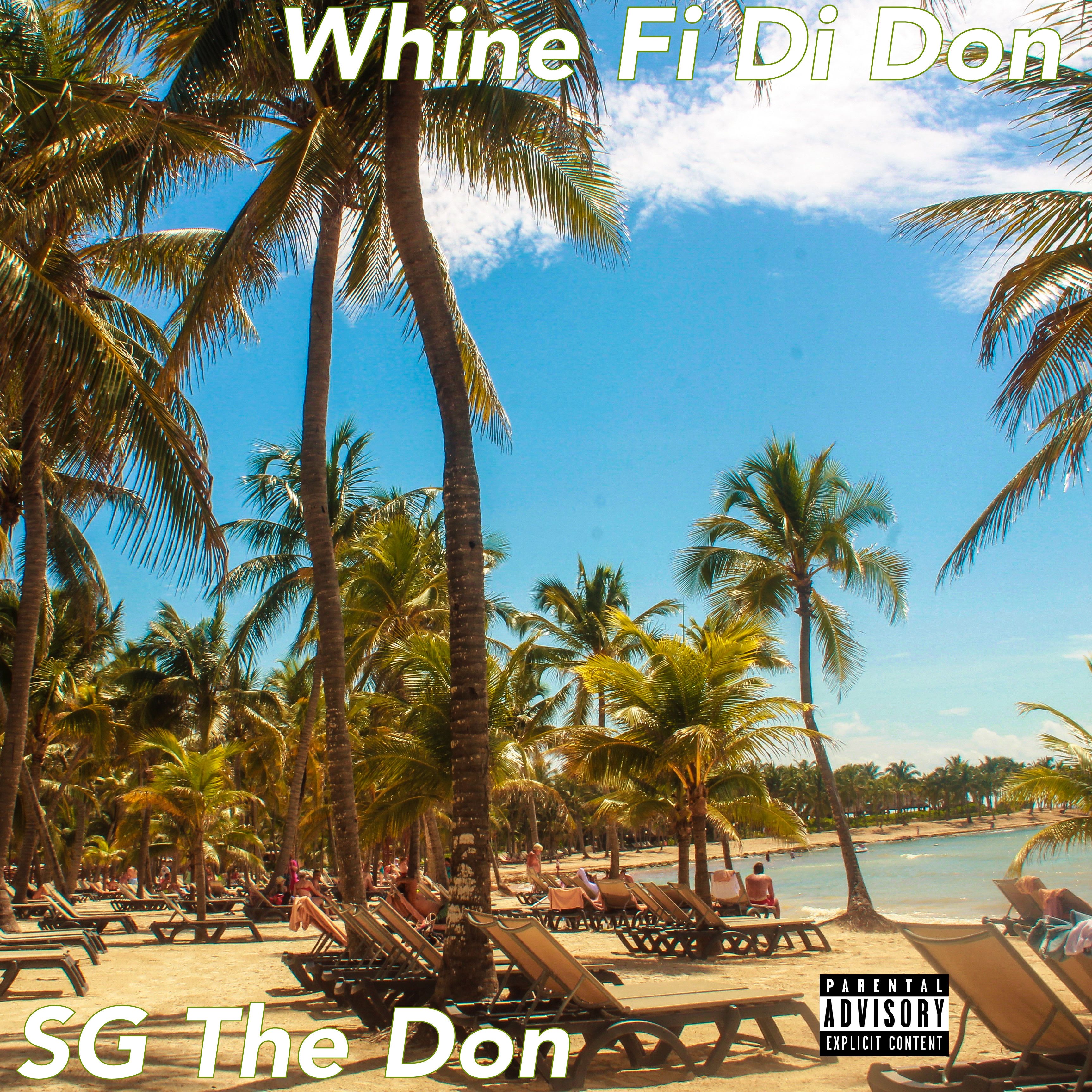 Whine Fi Di Don artwork