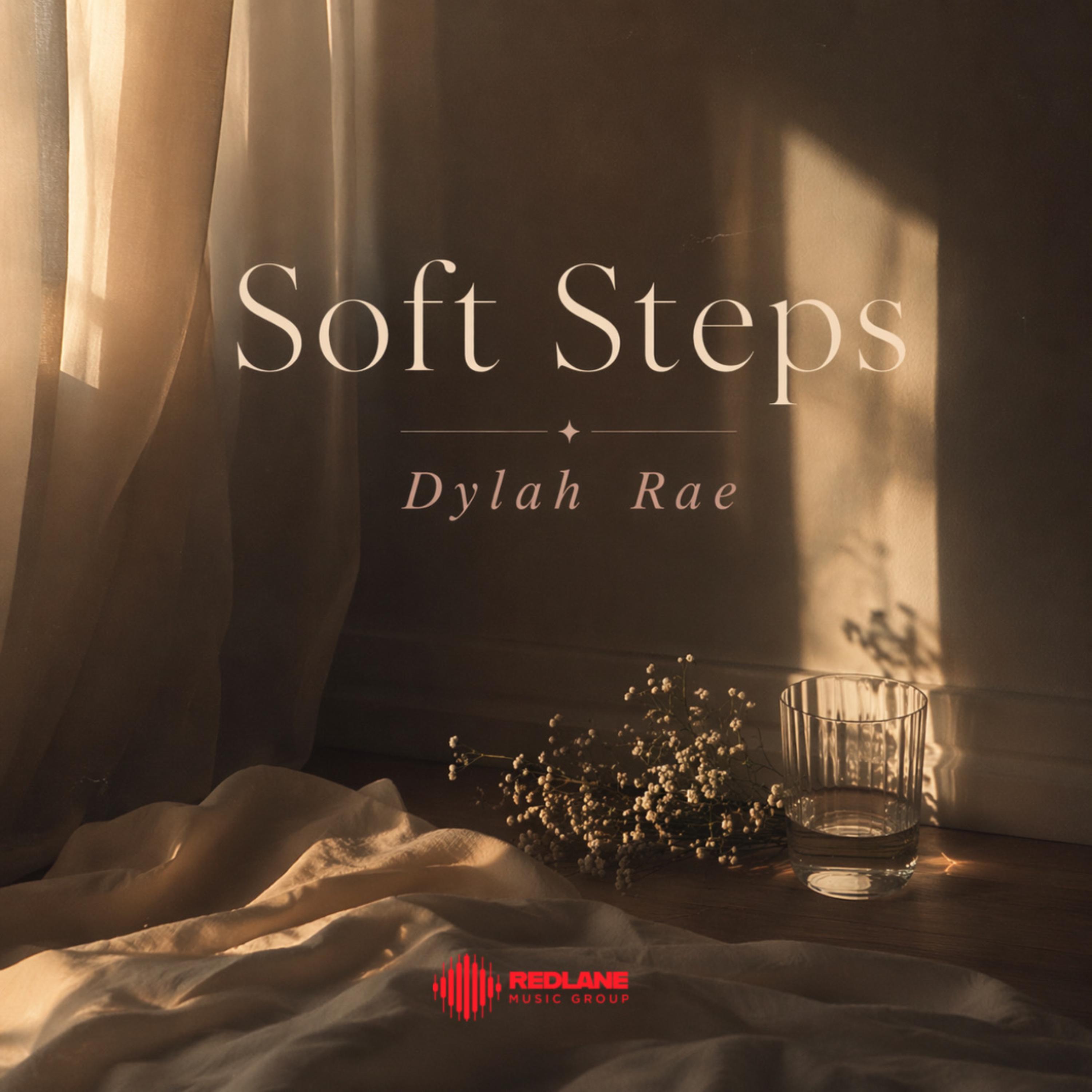 Soft Steps artwork