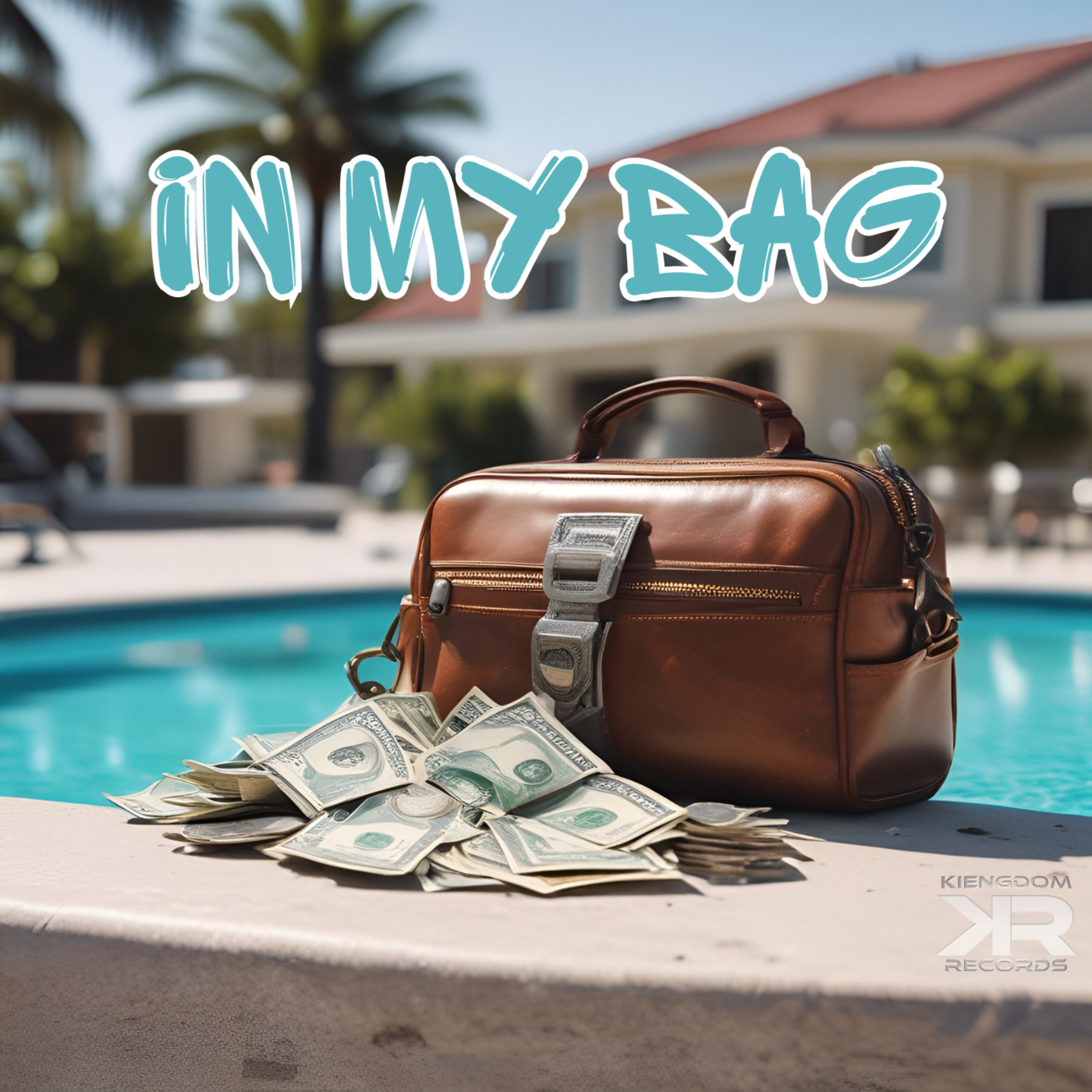 In my bag artwork