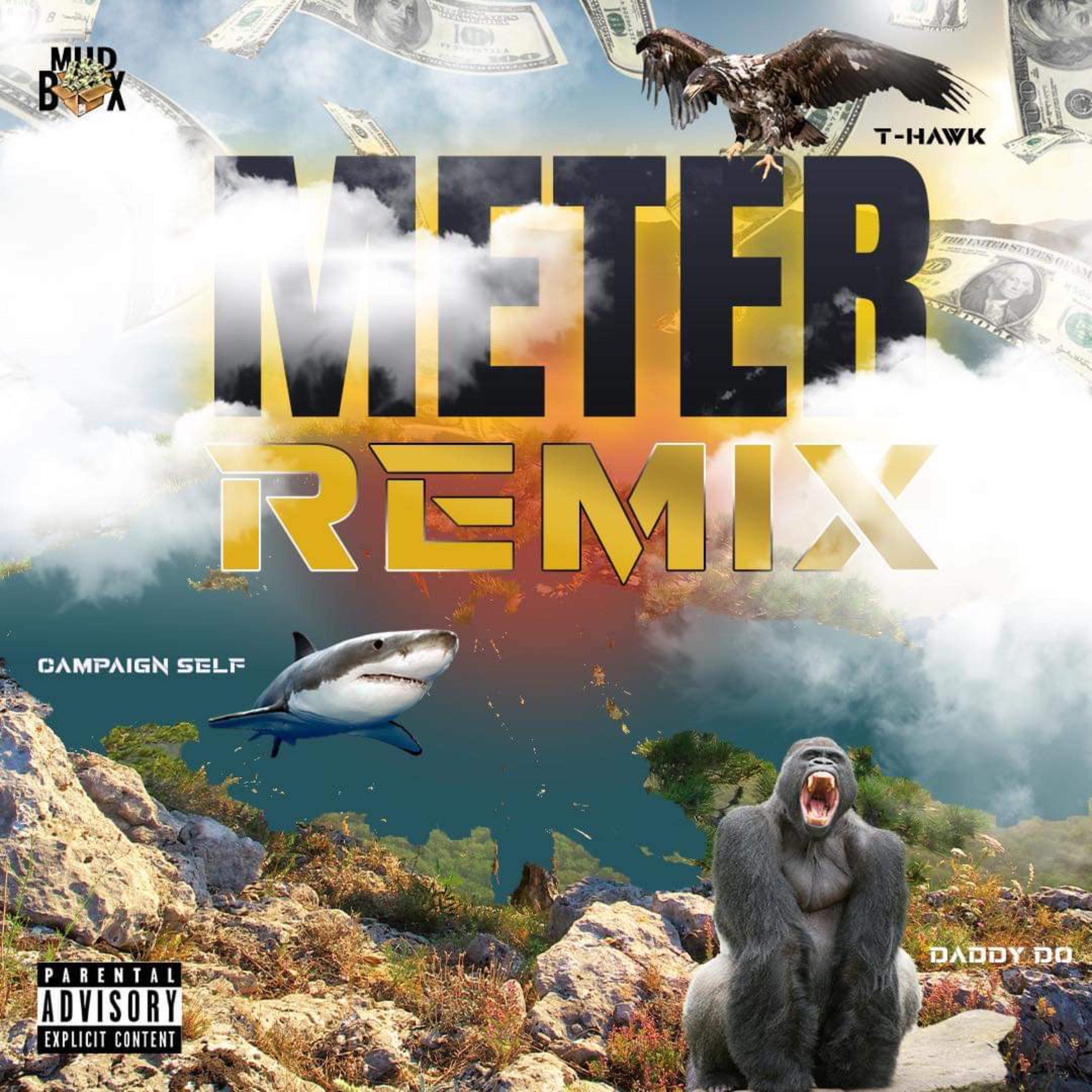 Meter (Remix) artwork