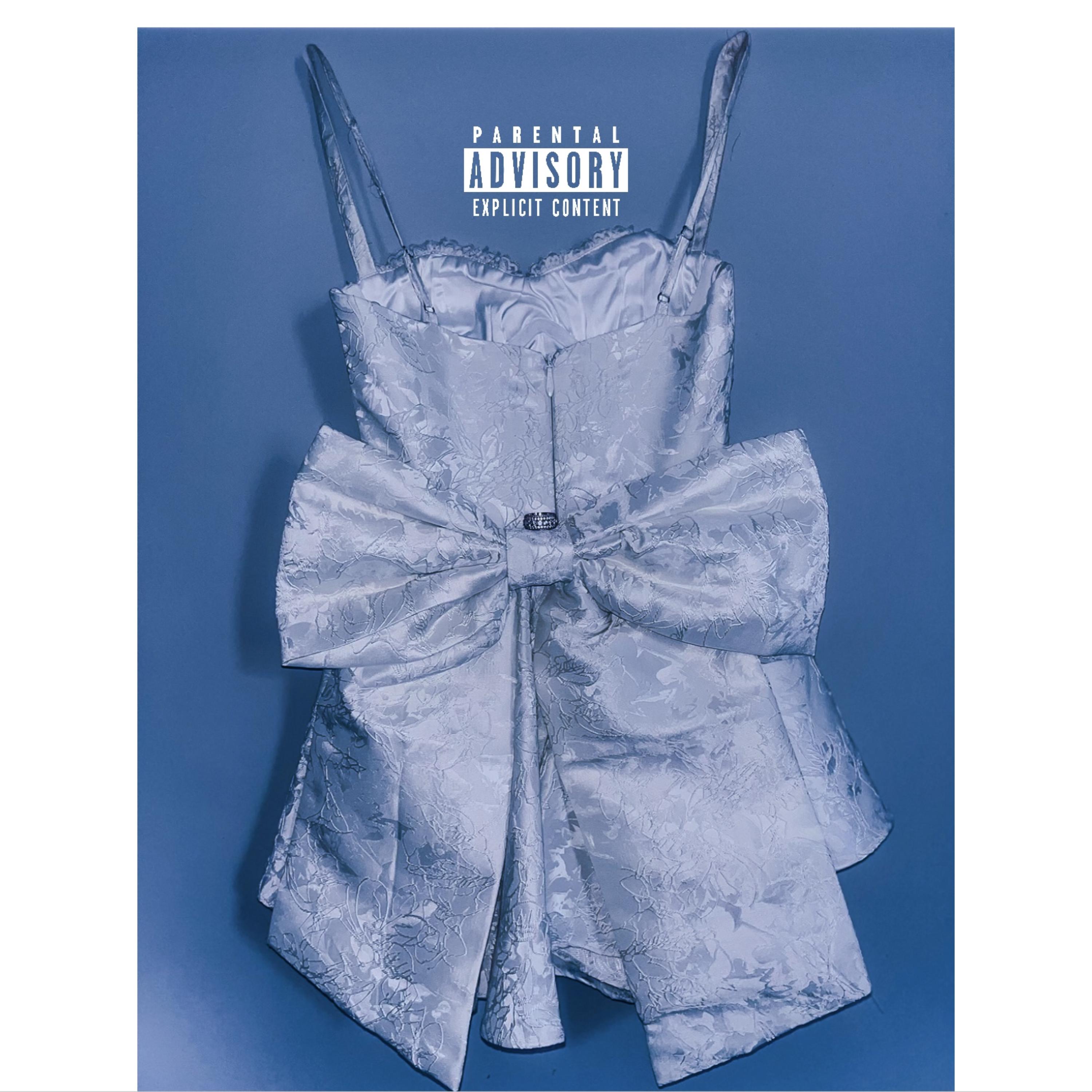 Angel Blue by Ronald Bass cover art