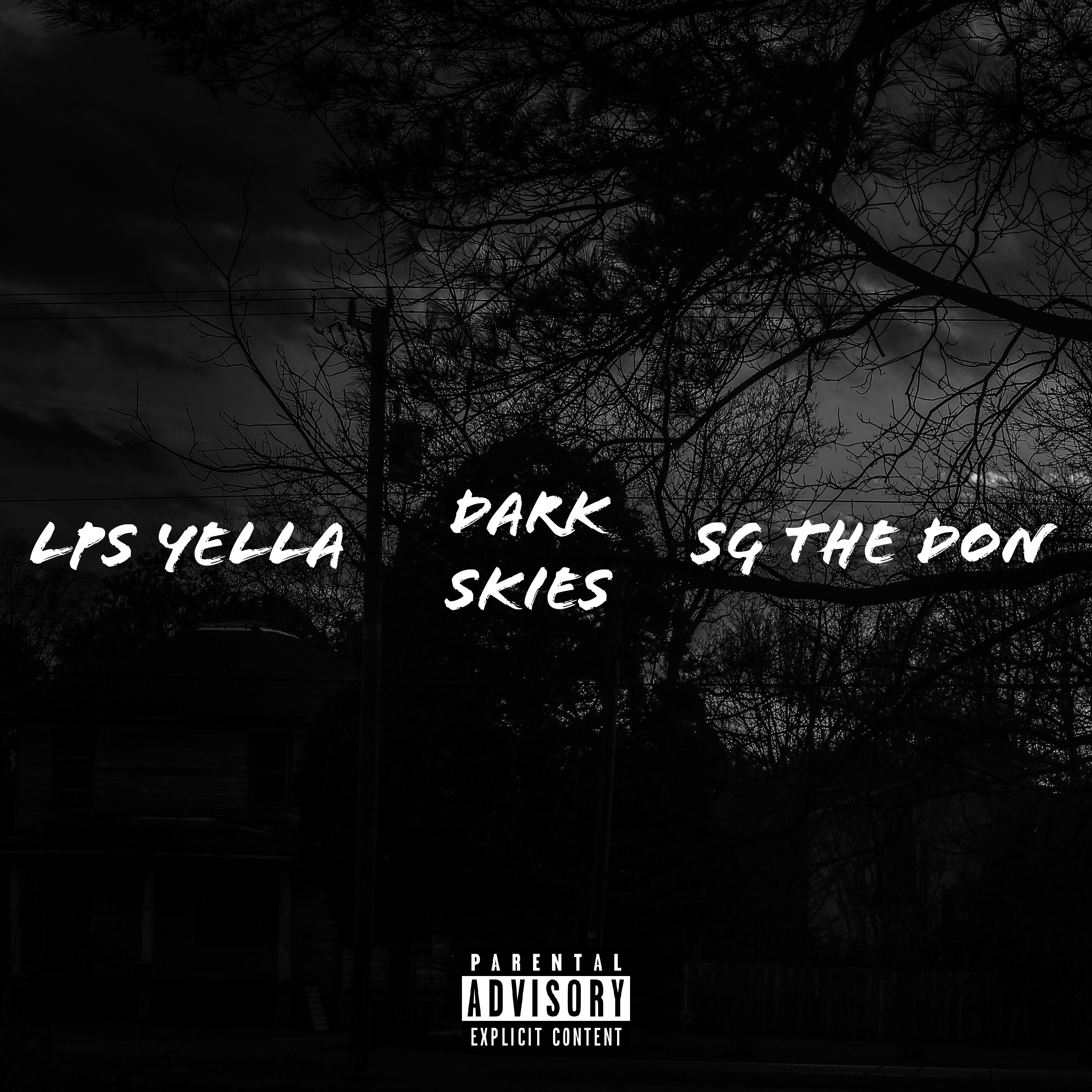 Dark Skies artwork