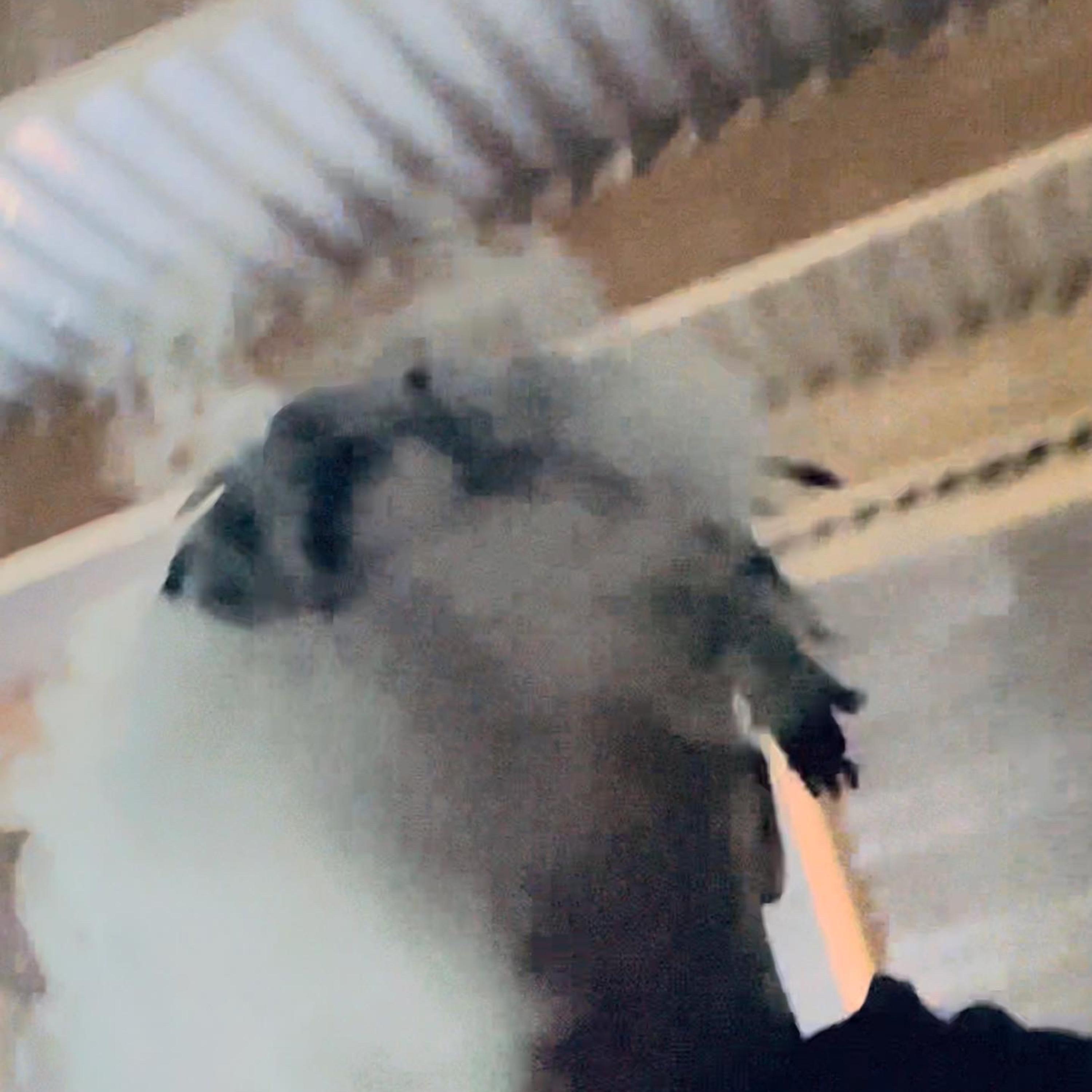 I Have A Dream artwork