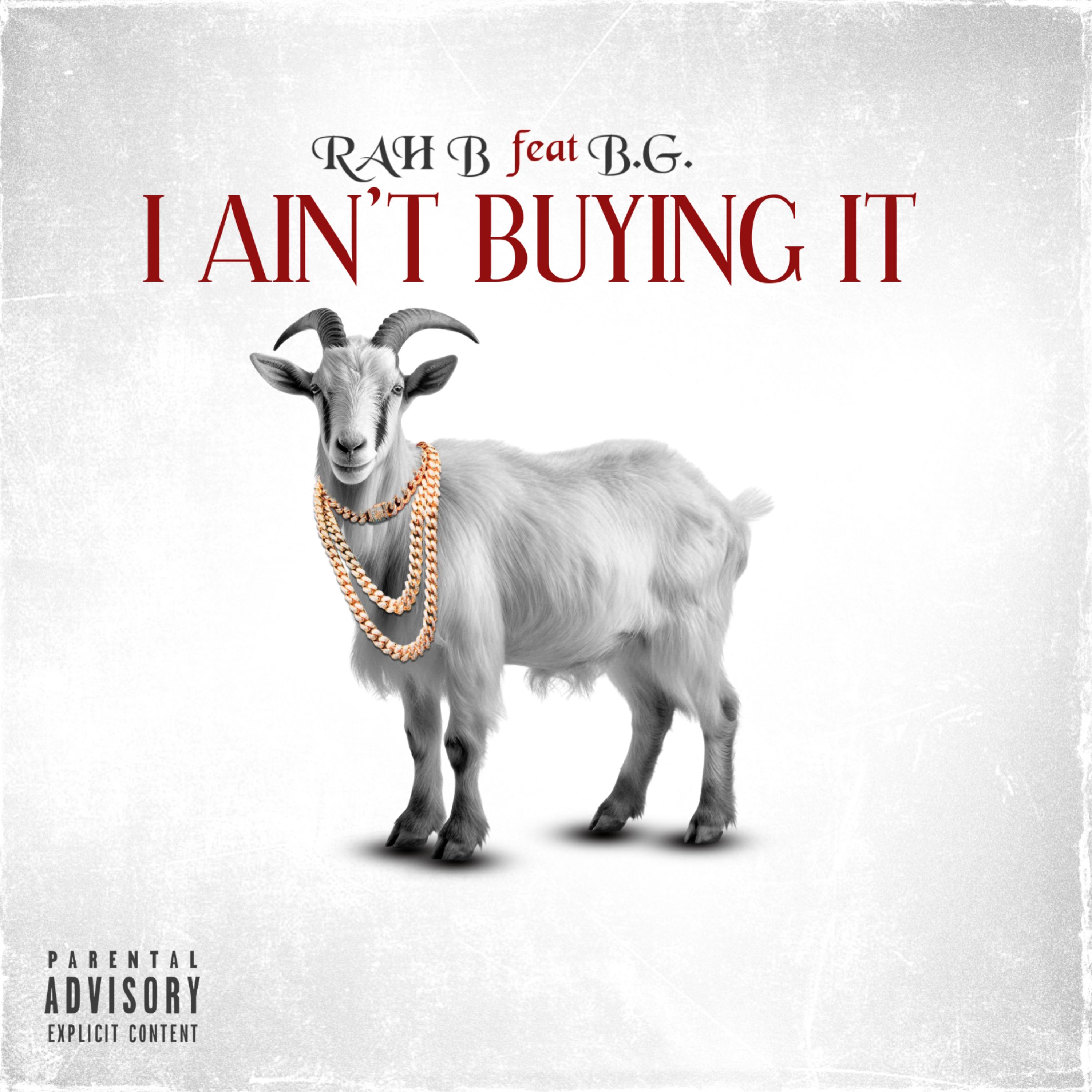 I AINT BUYING IT artwork