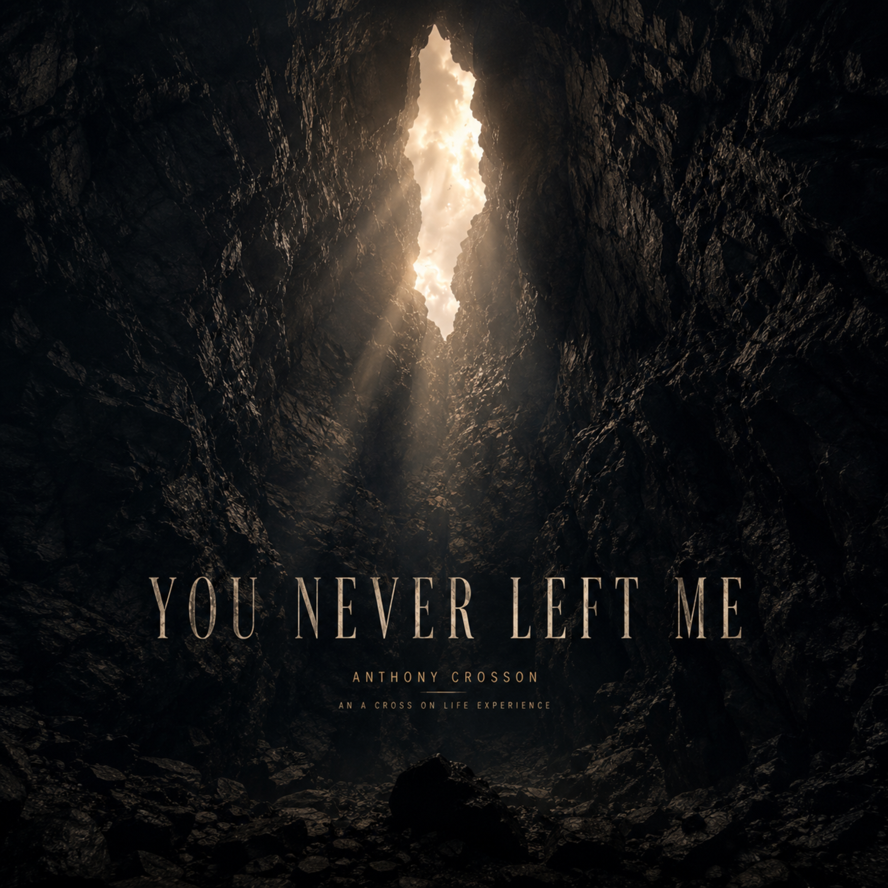 You Never Left Me artwork