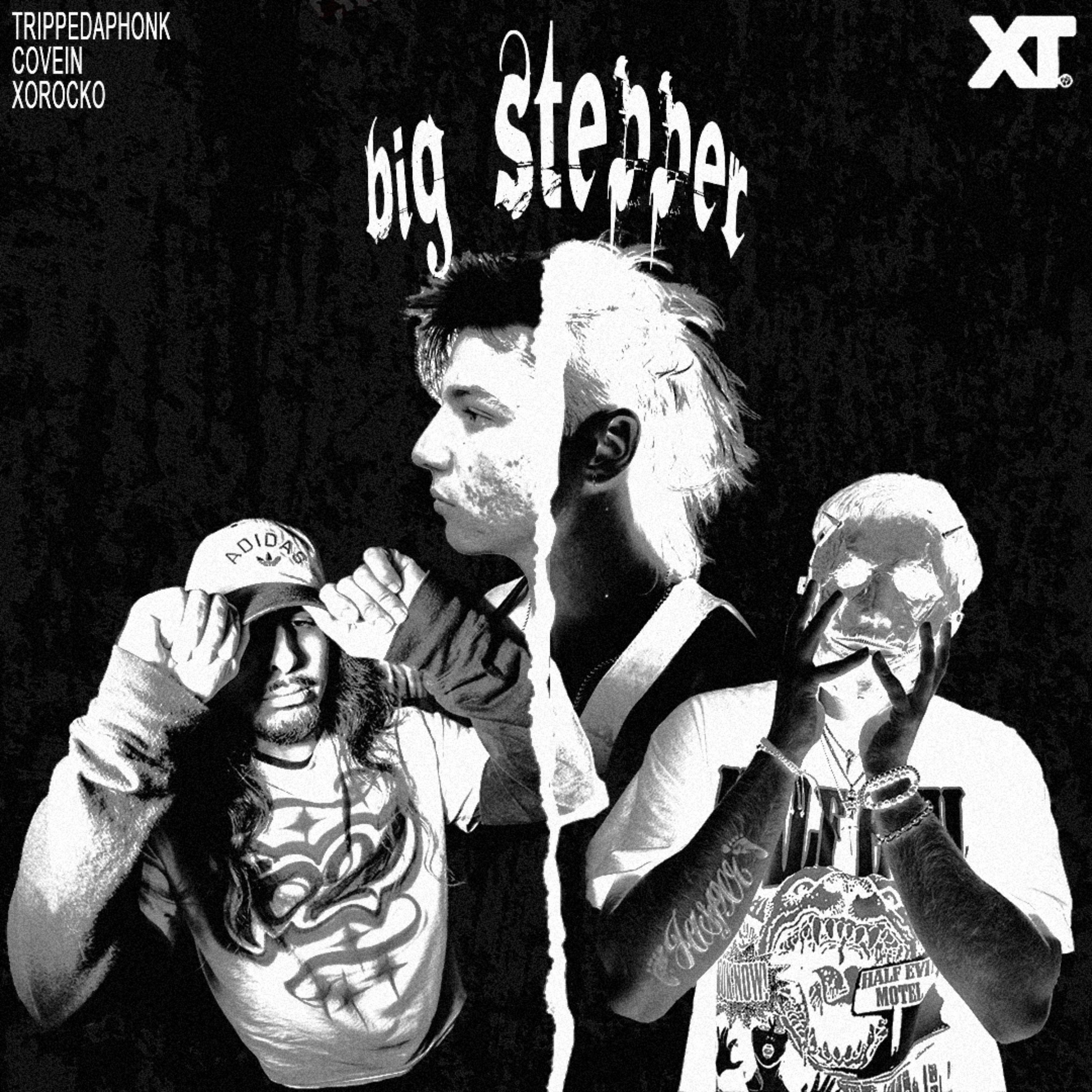 Big Stepper artwork