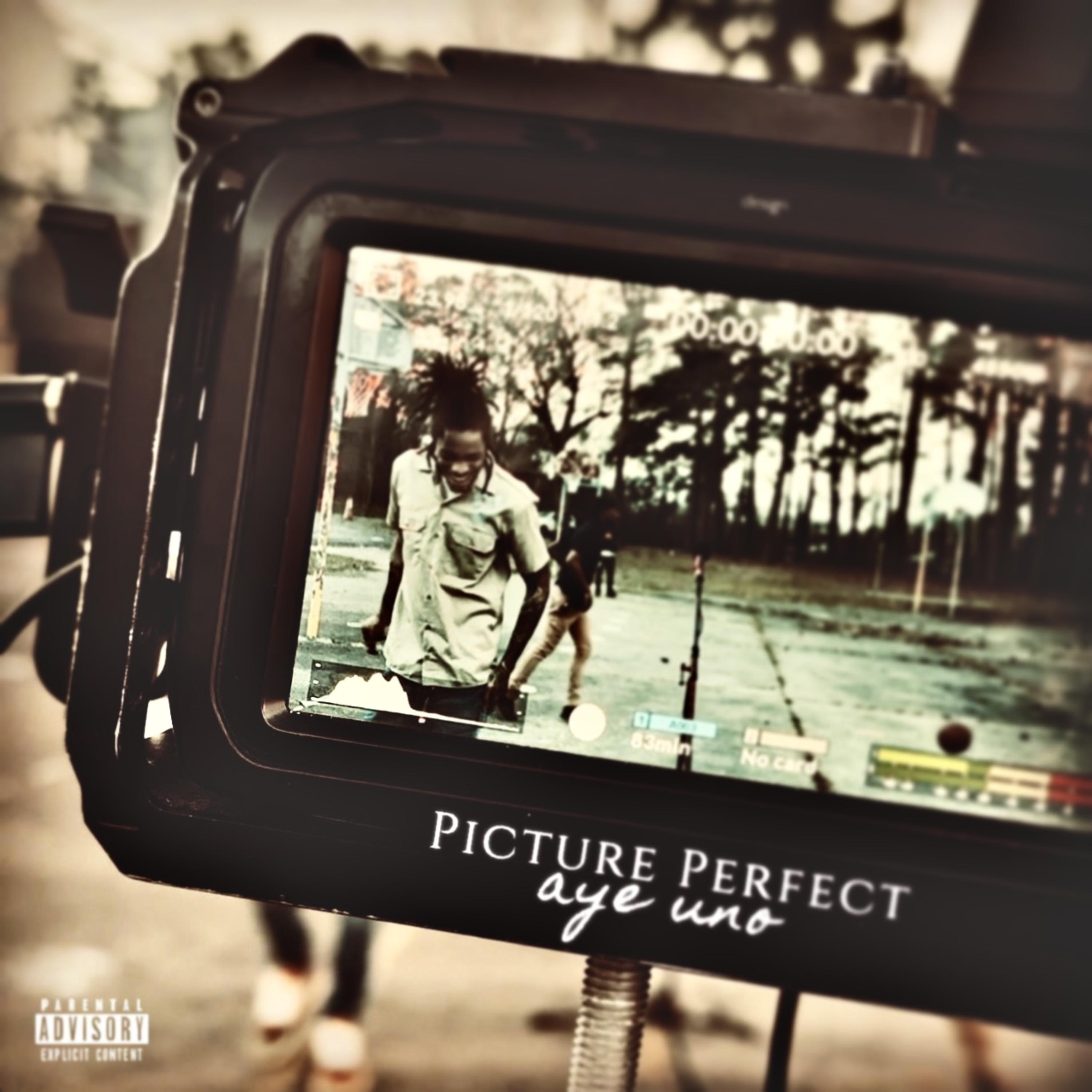 Picture Perfect by Aye Uno cover art