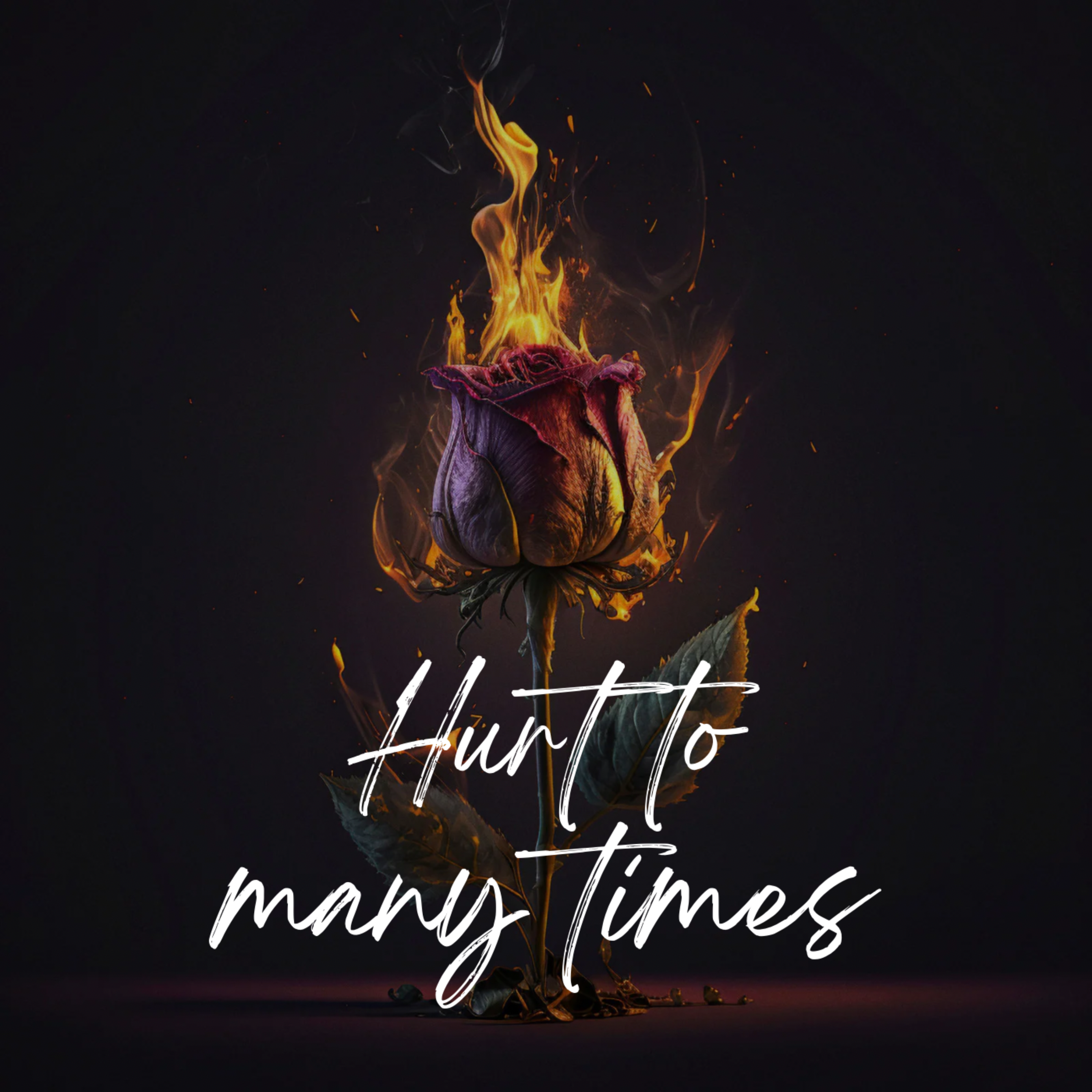 Hurt To Many Times artwork