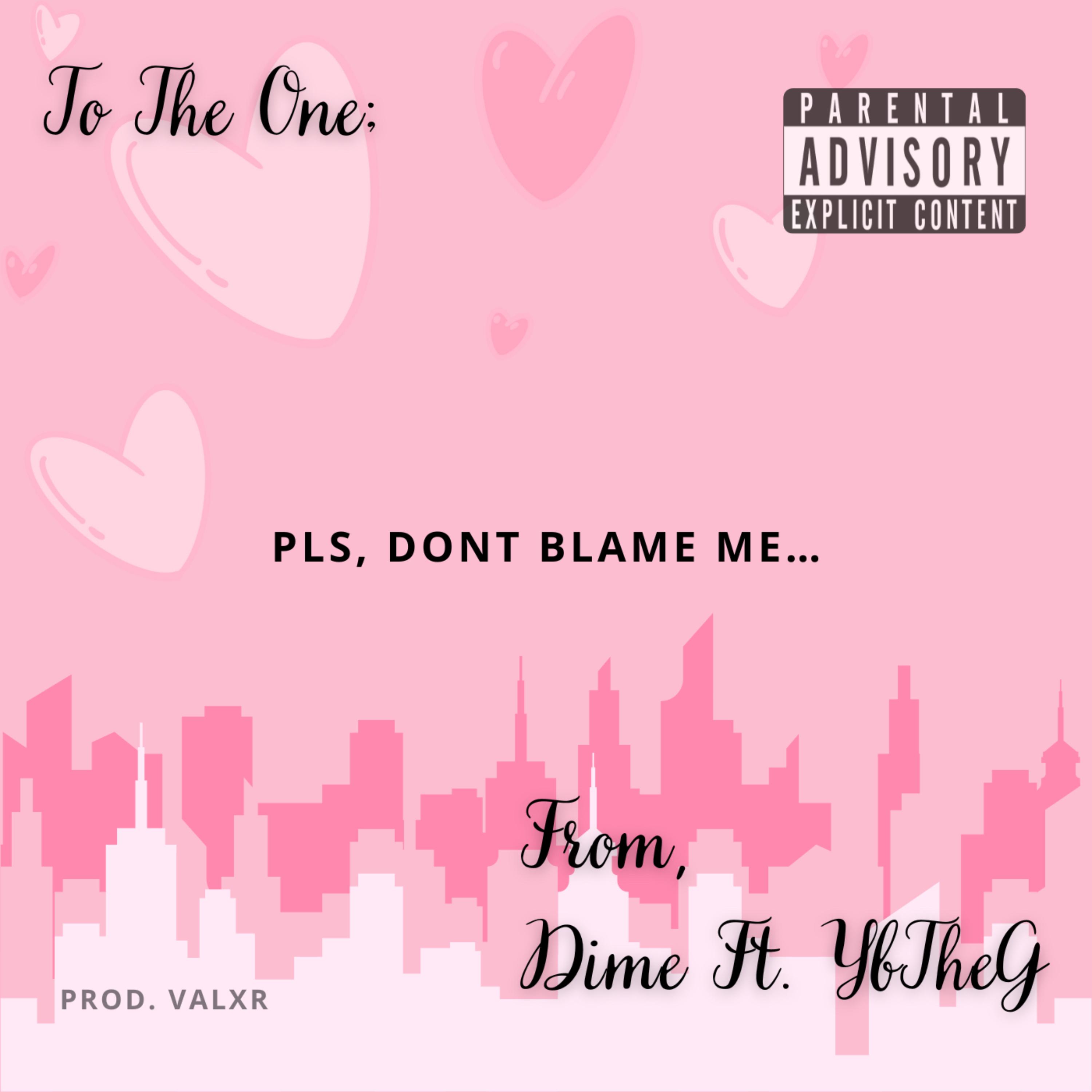Pls Don’t Blame Me artwork