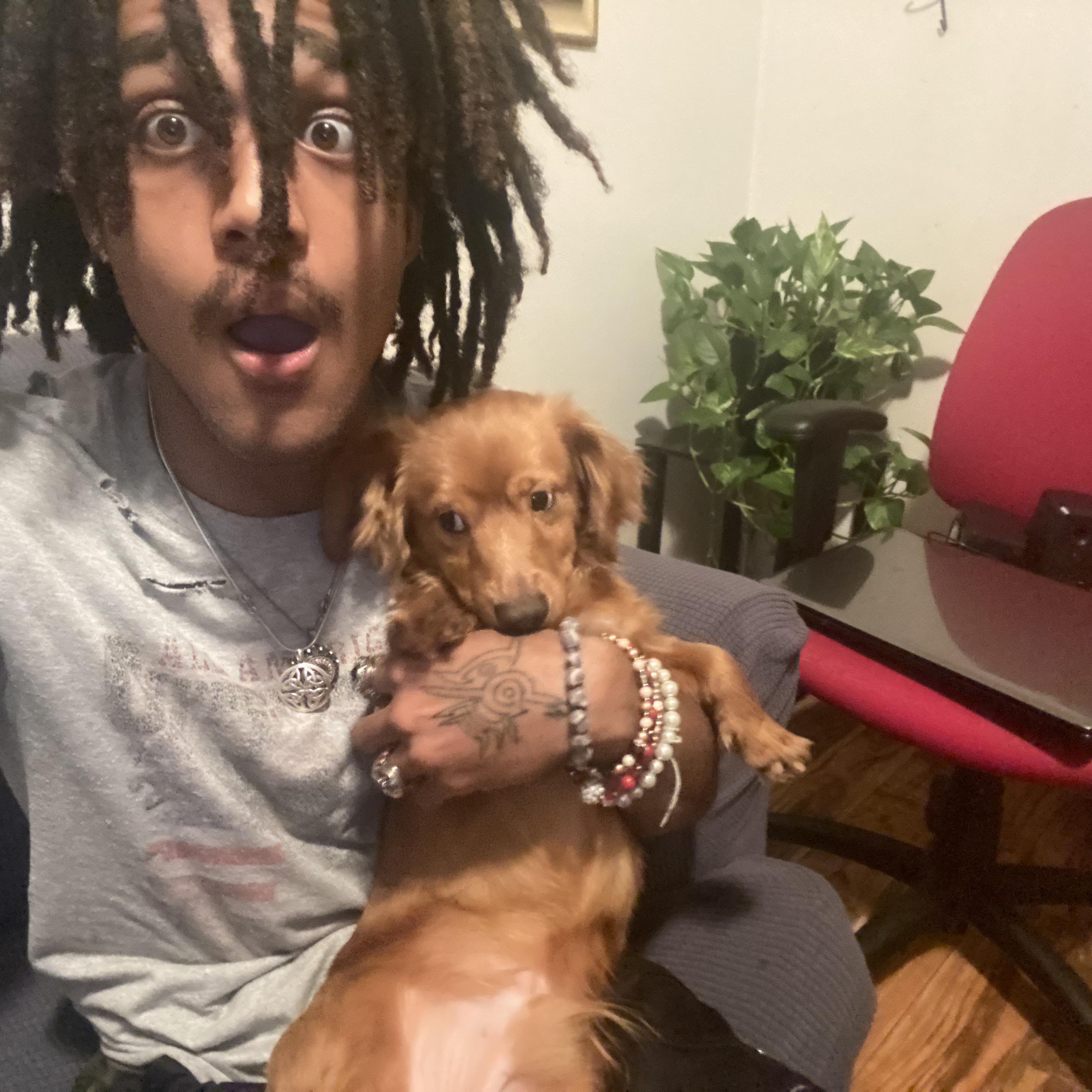doggywrld artwork