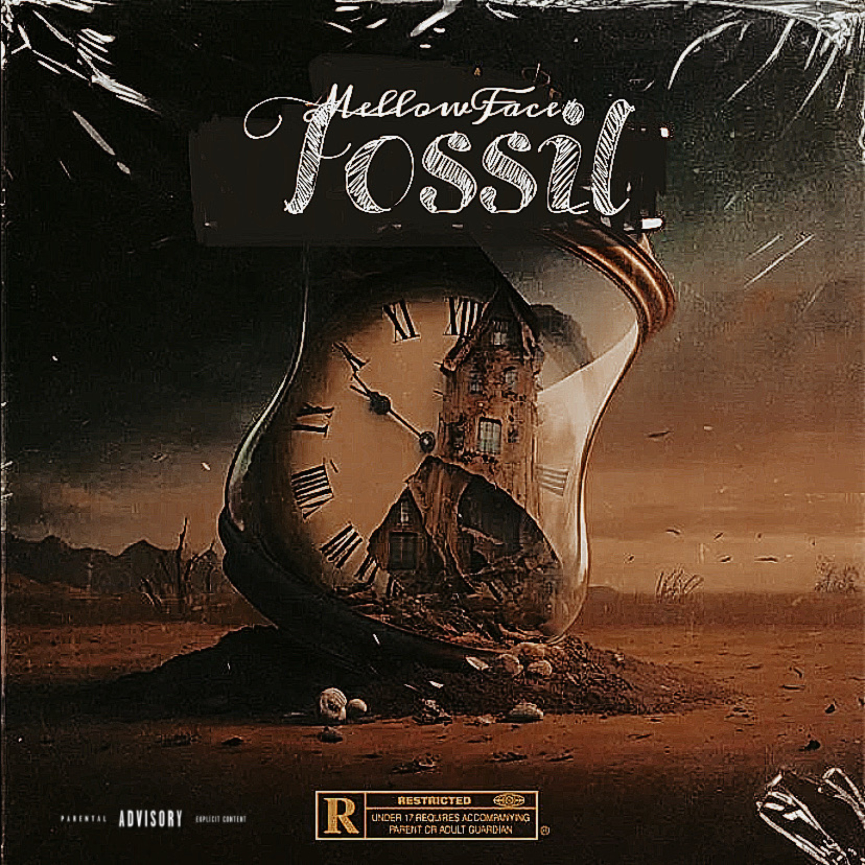Fossil artwork