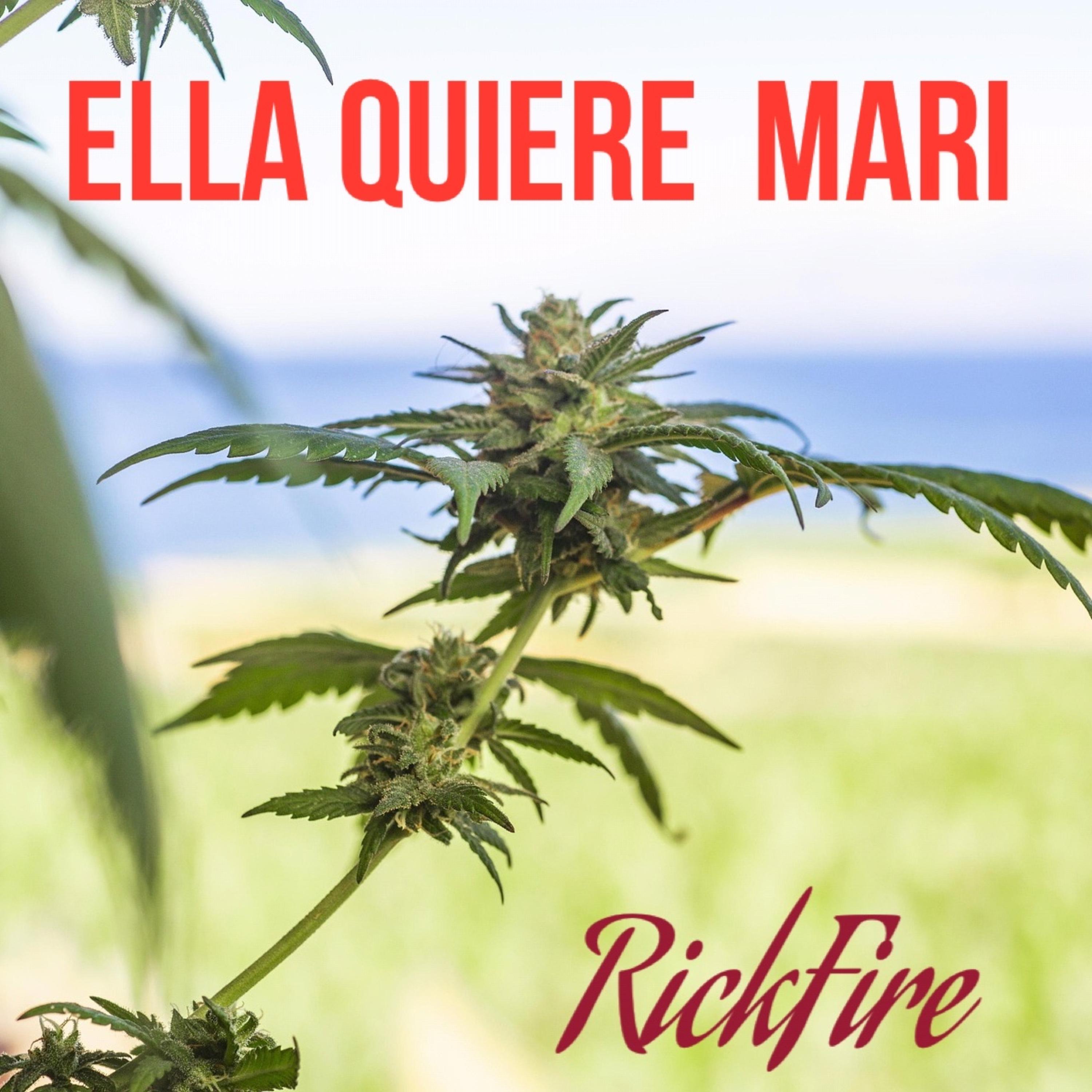 Ella Quiere Mari artwork