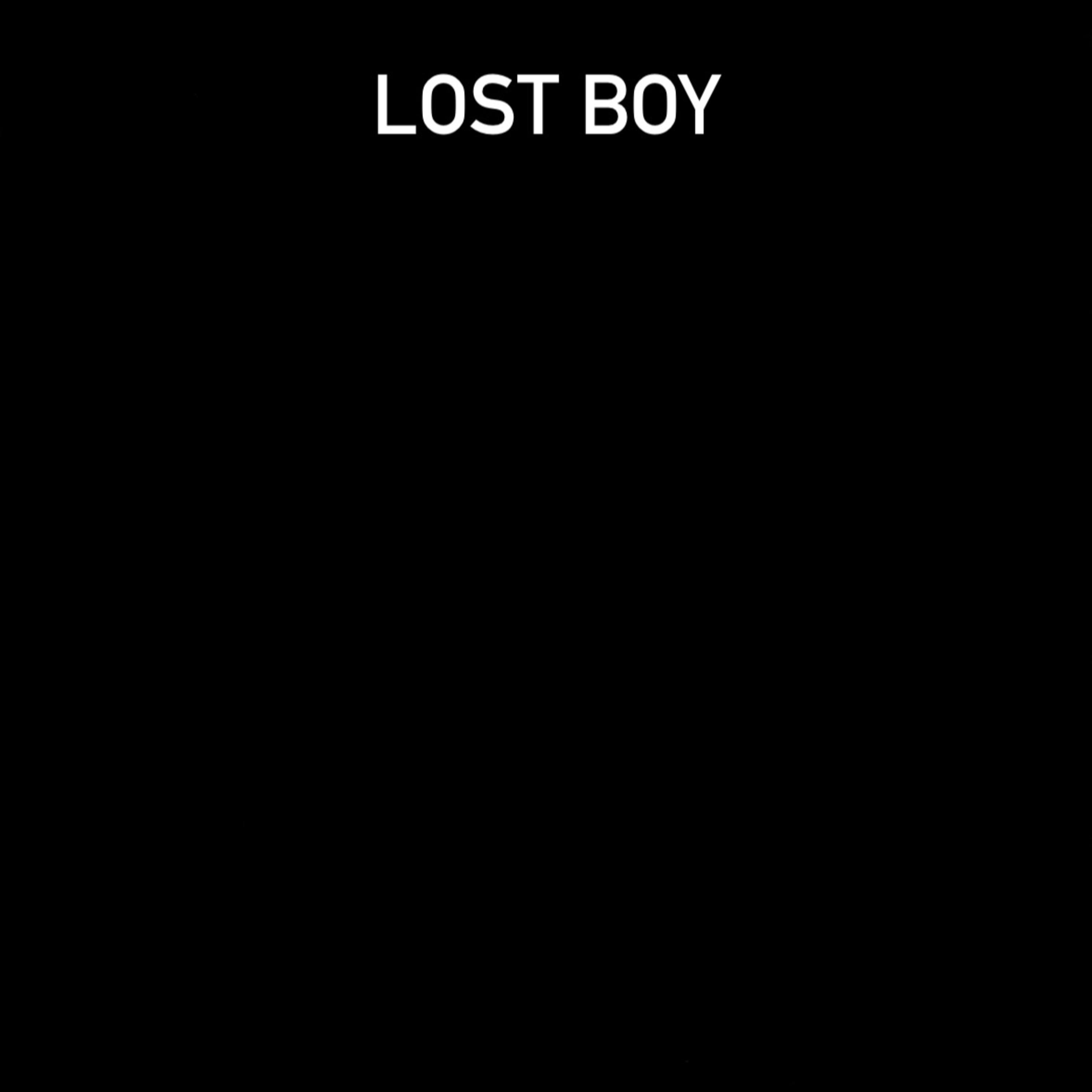 Lost Boy artwork