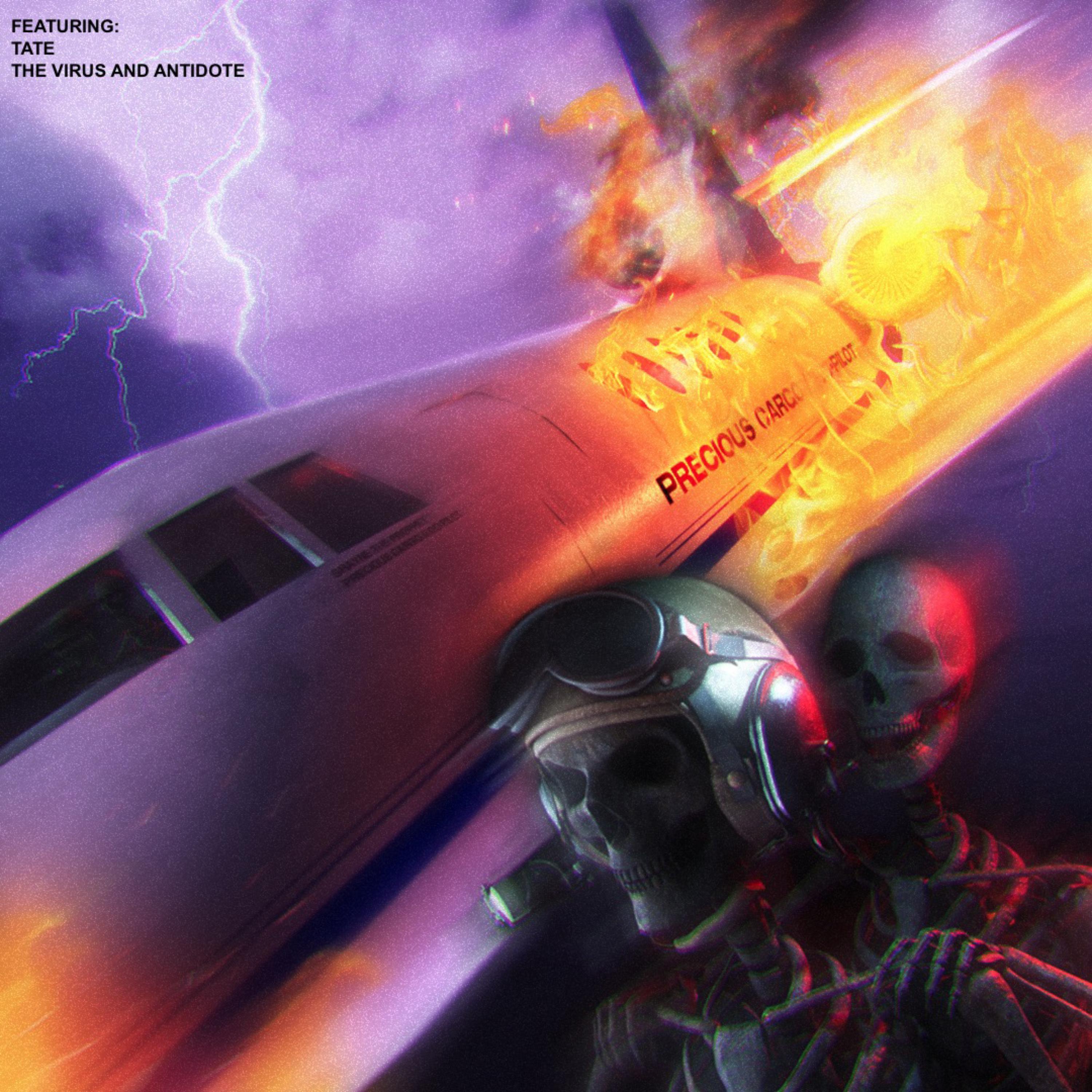 PRECIOUS CARGO // CO-PILOT artwork