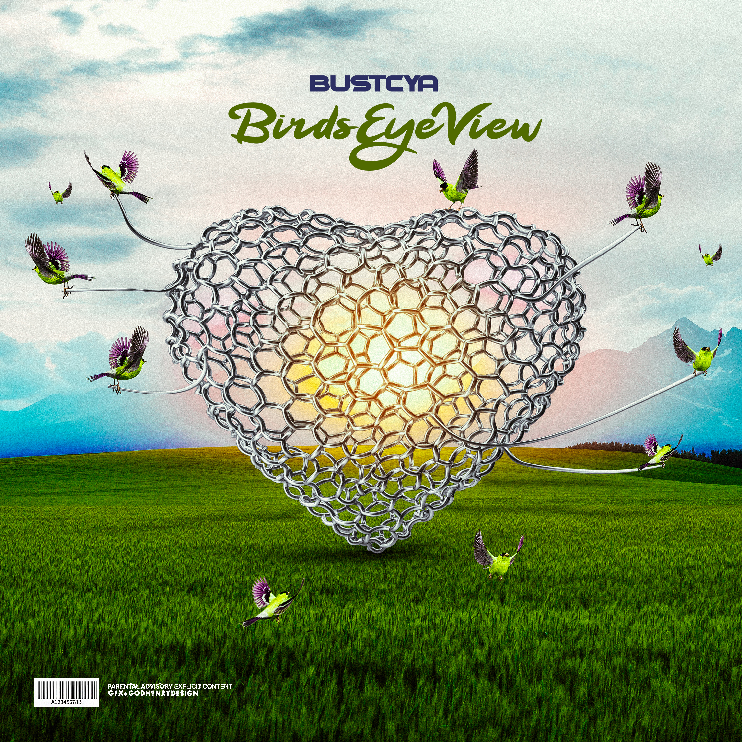 Birds Eye View artwork