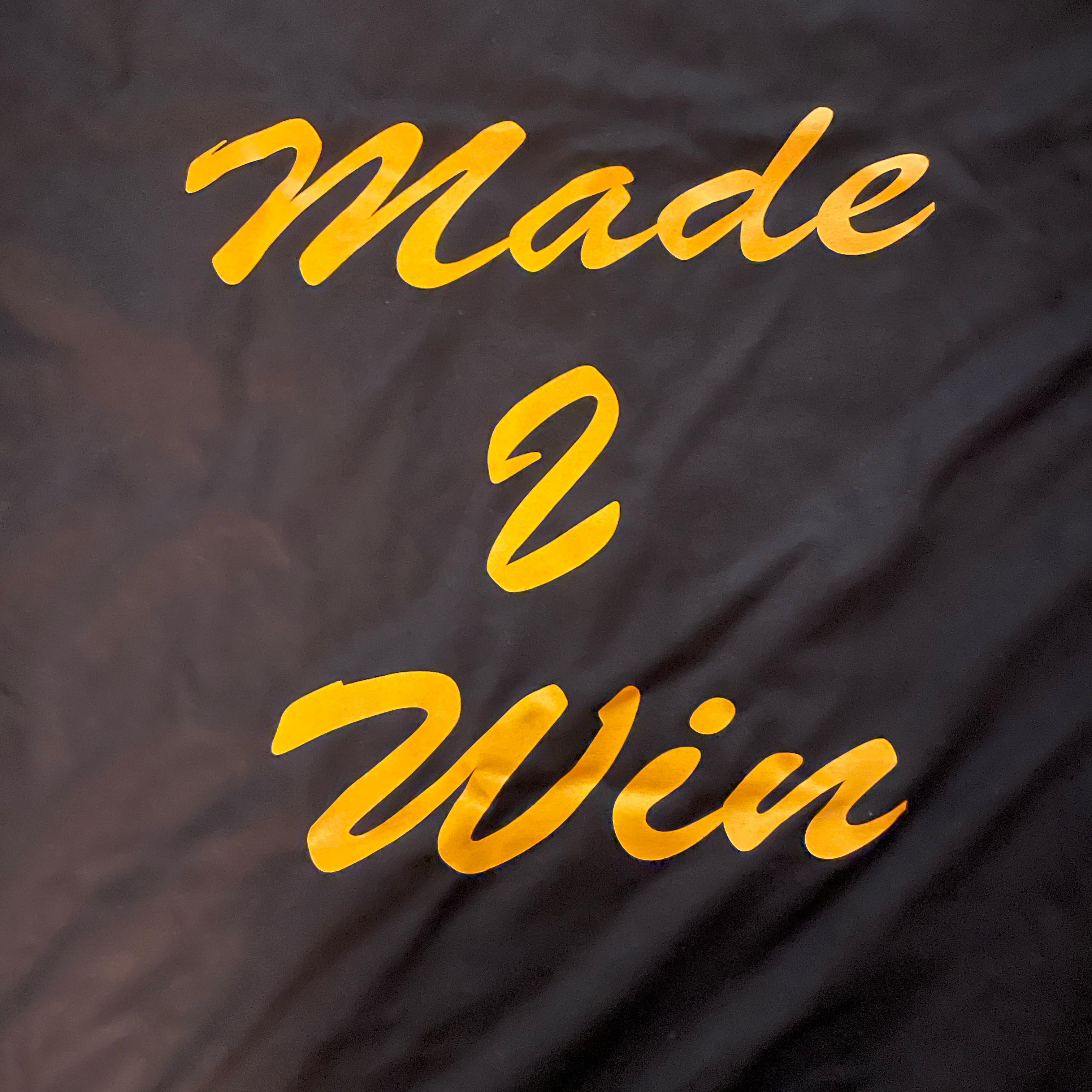 Made 2 Win  artwork