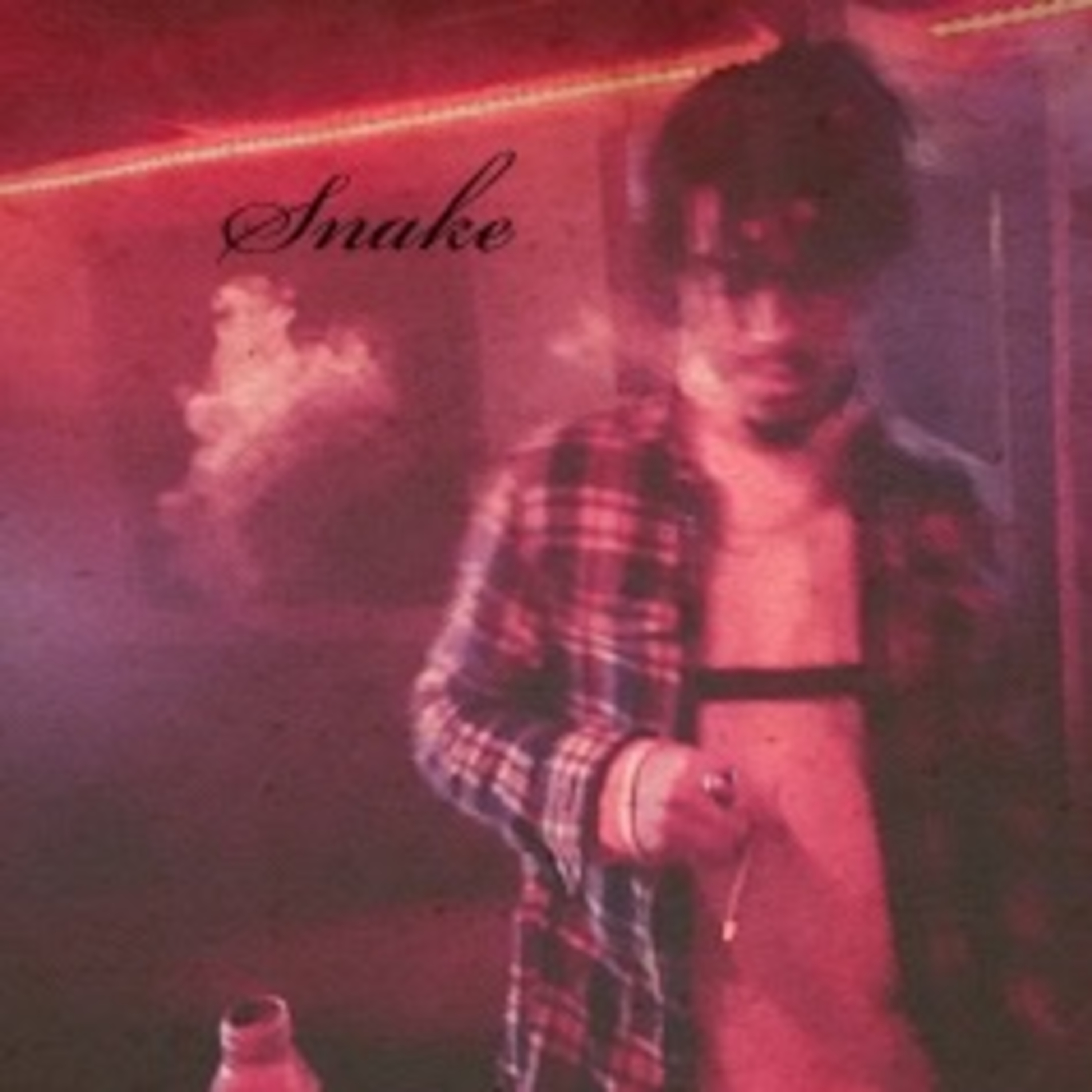 Snake artwork