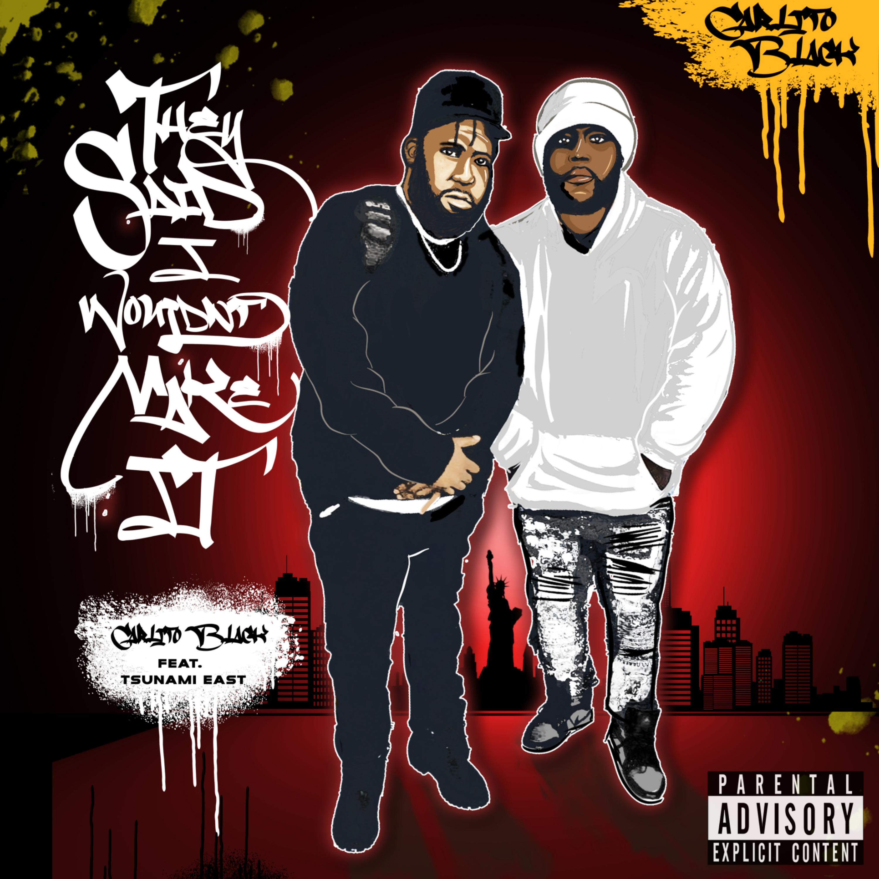 They Said I Wouldn't Make It artwork