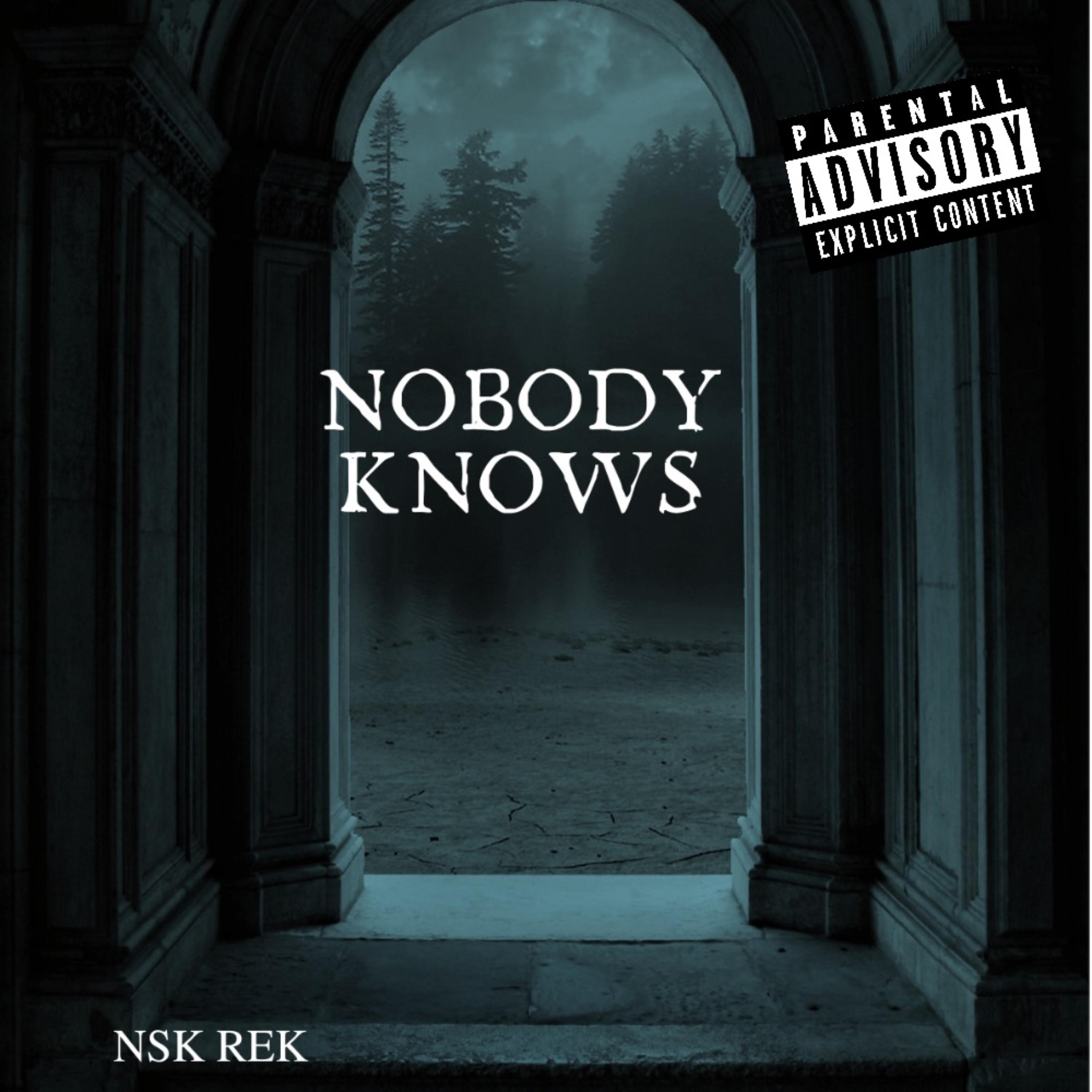 Nobody Knows artwork