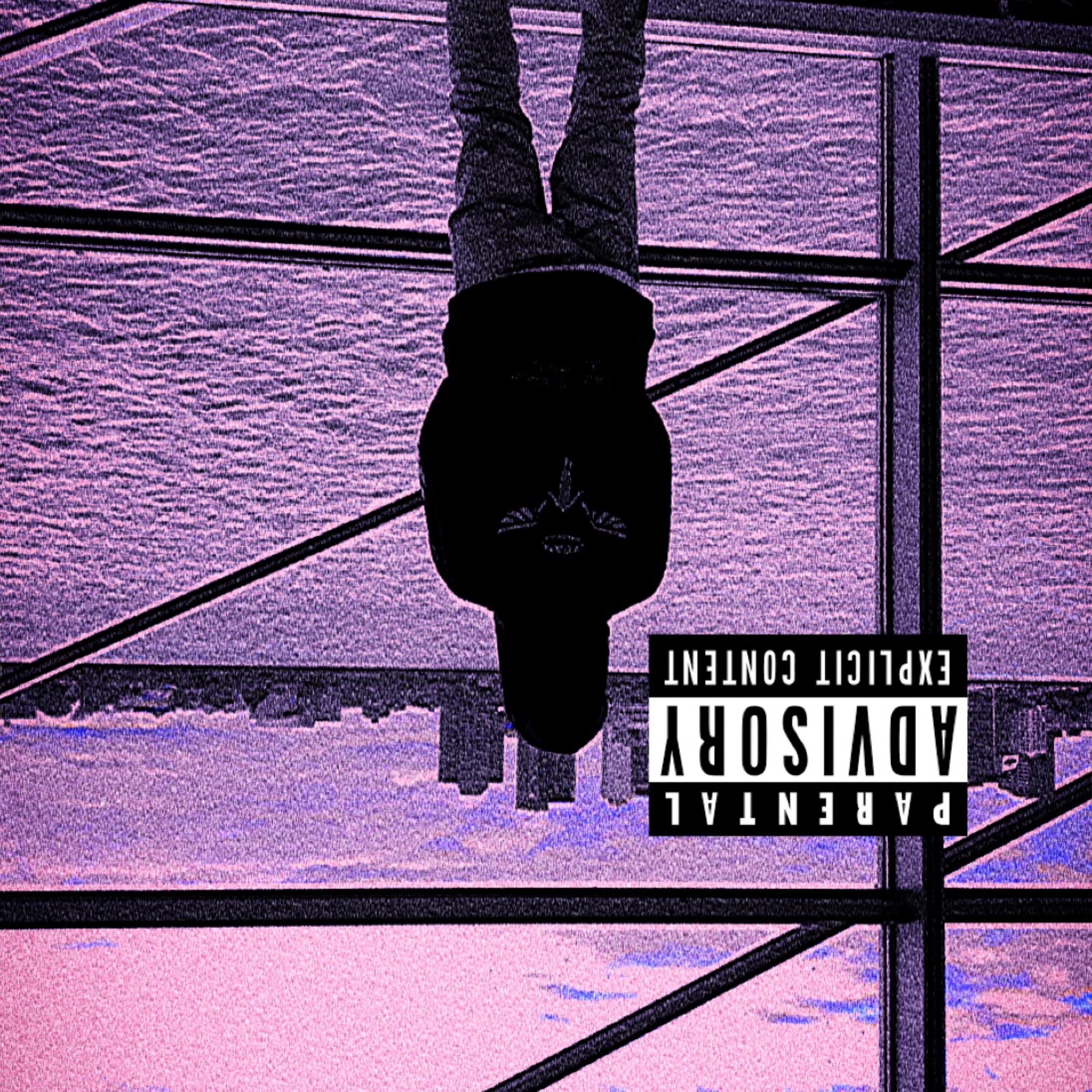 I'M NOT FALLING IM DIVING artwork