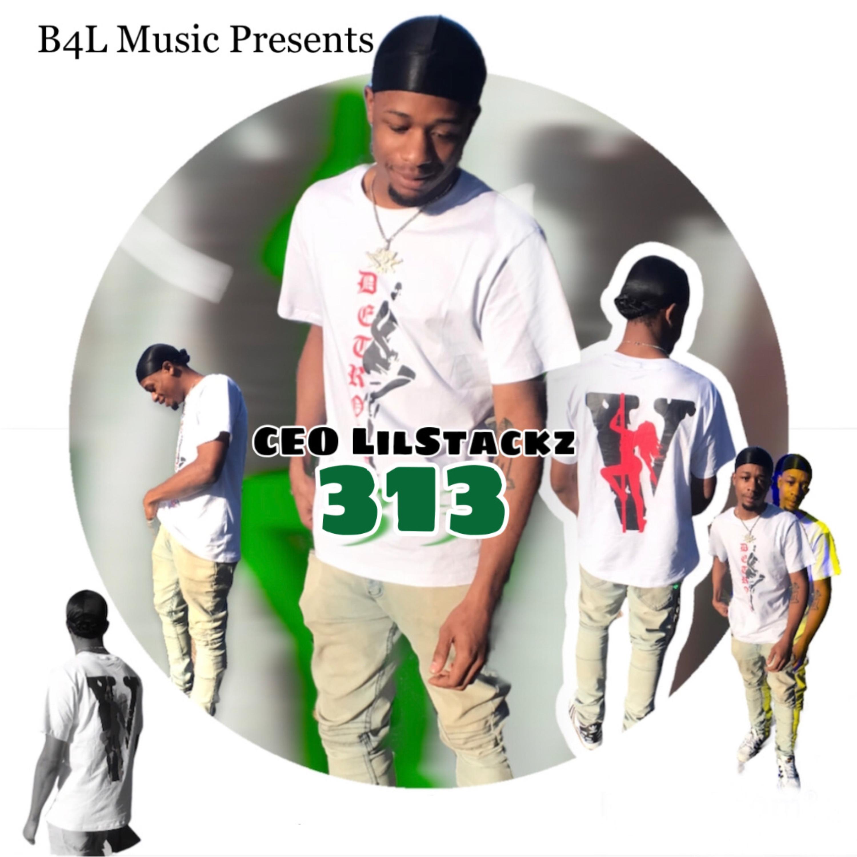 313 by CEO LilStackz cover art