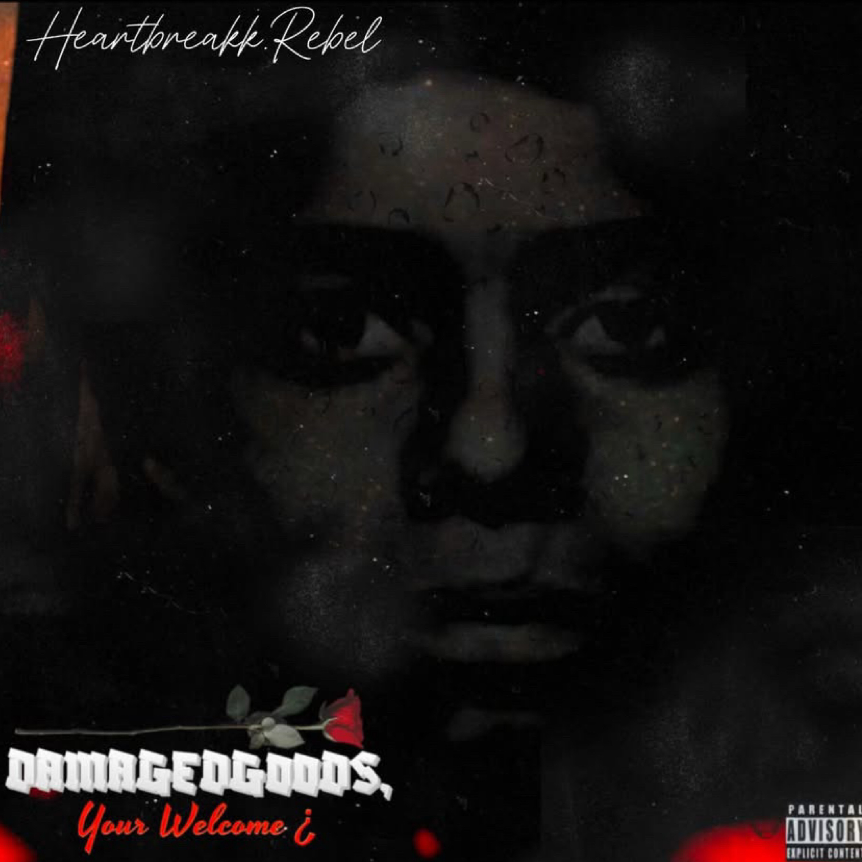 DamagedGoods, You’reWelcome artwork