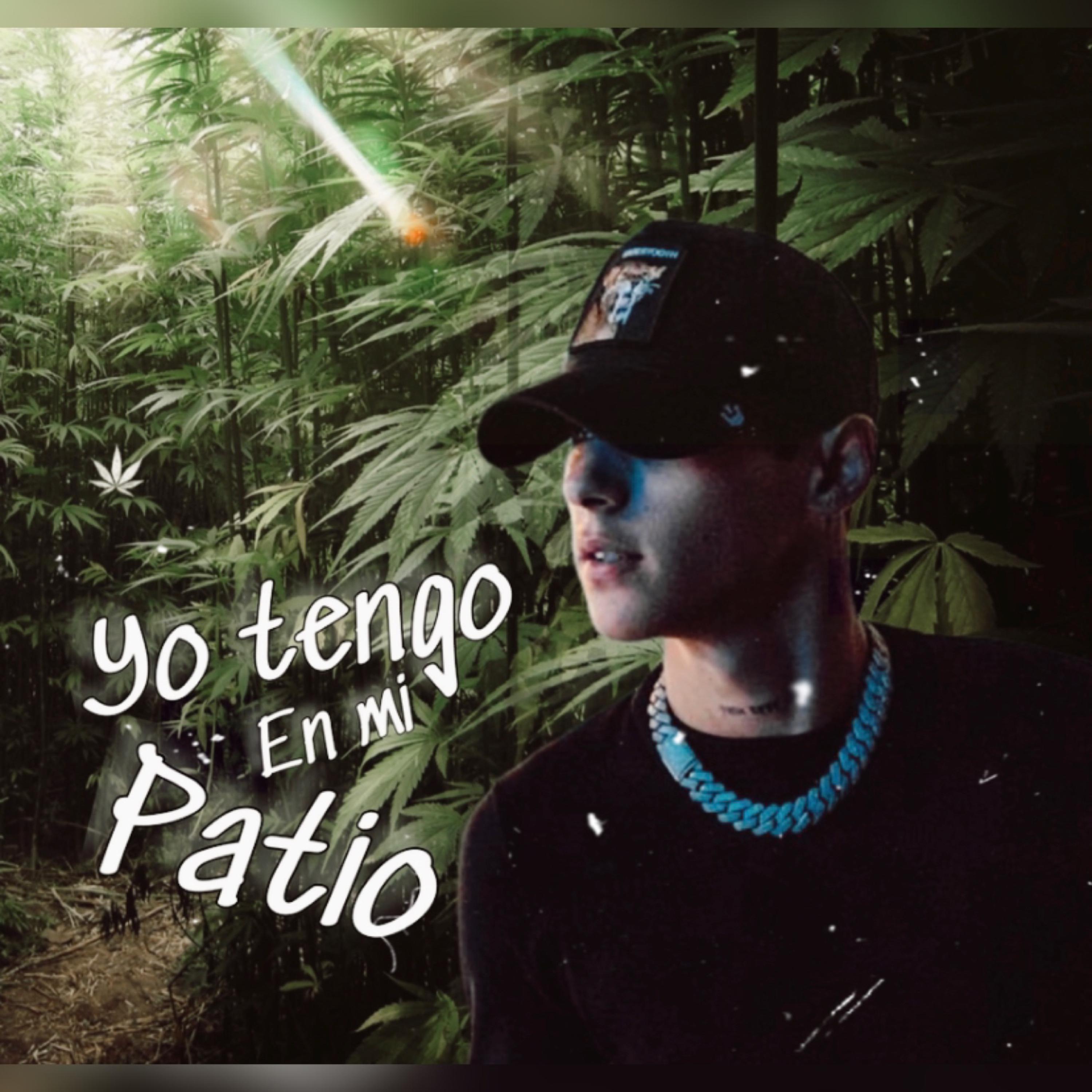 YO TENGO EN MI PATIO artwork