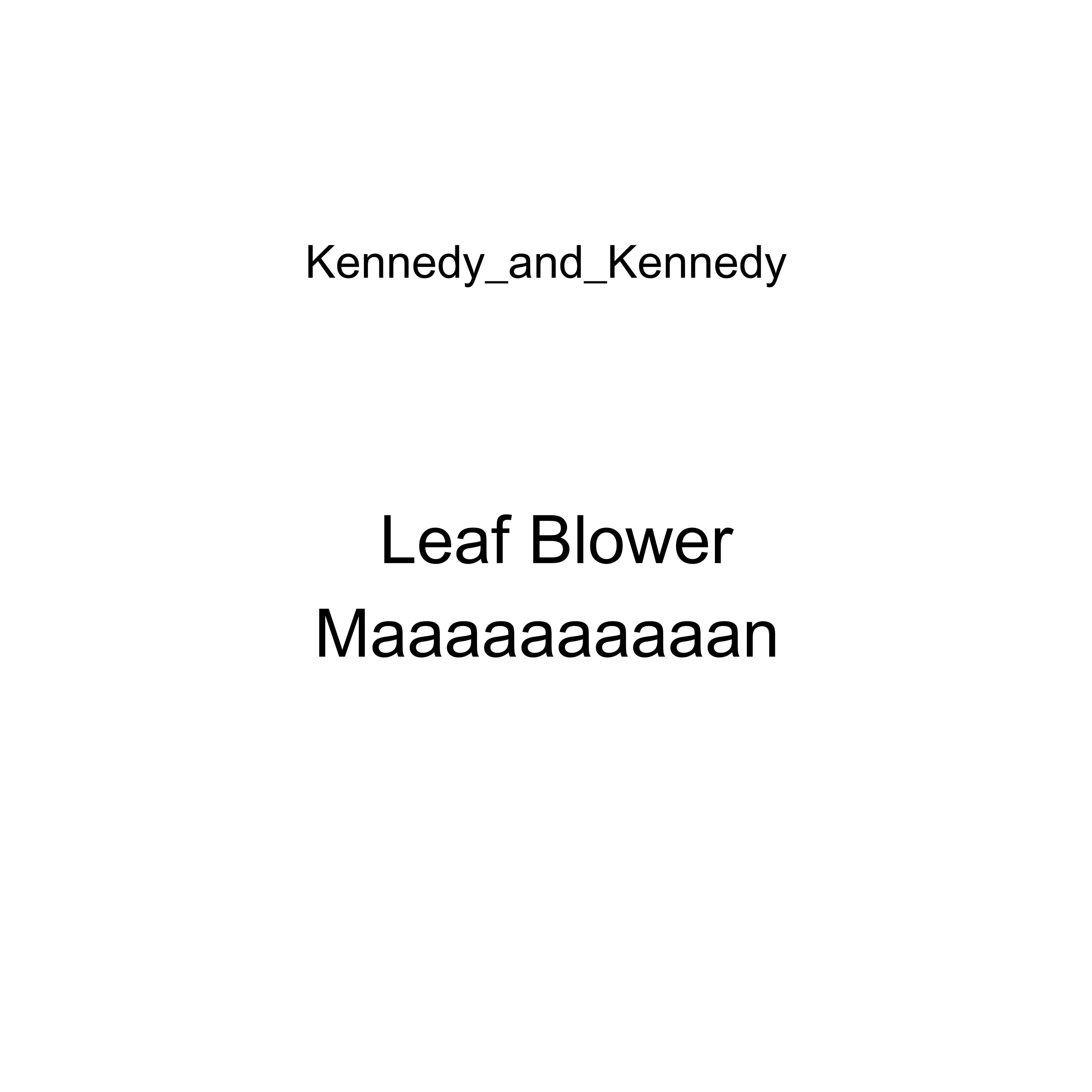 Leaf Blower Maaaaaaaaaan artwork