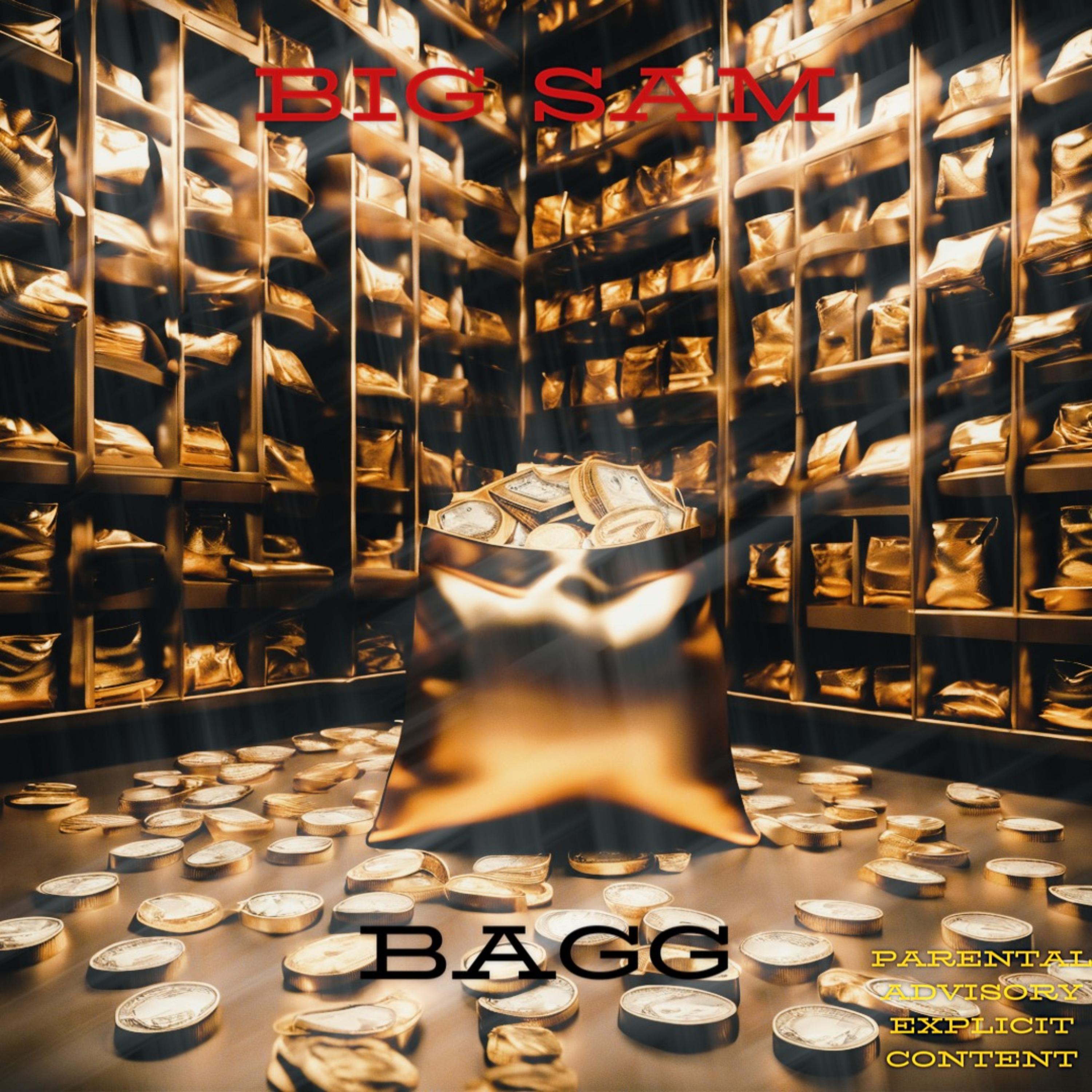 Bagg artwork