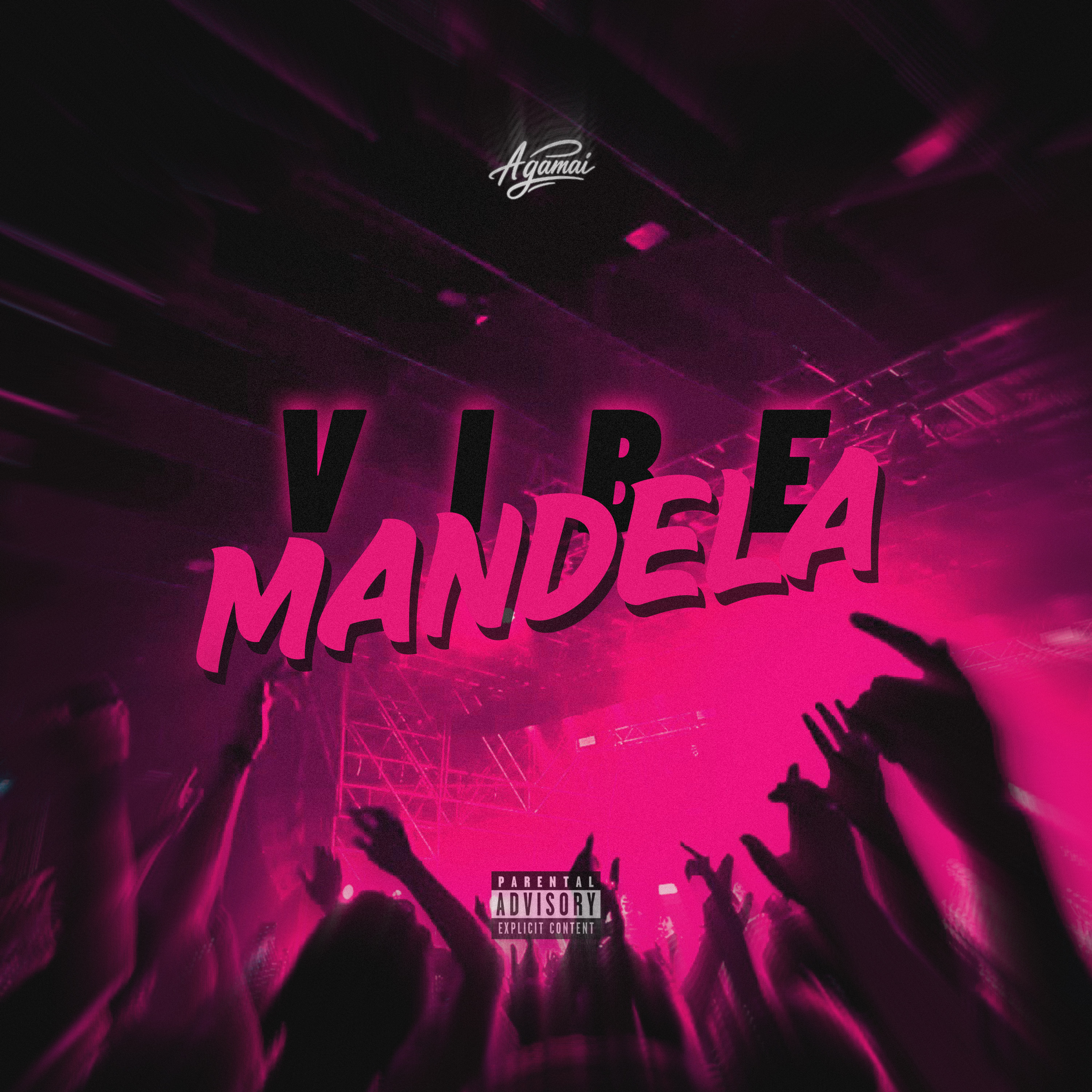 Vibe Mandela artwork