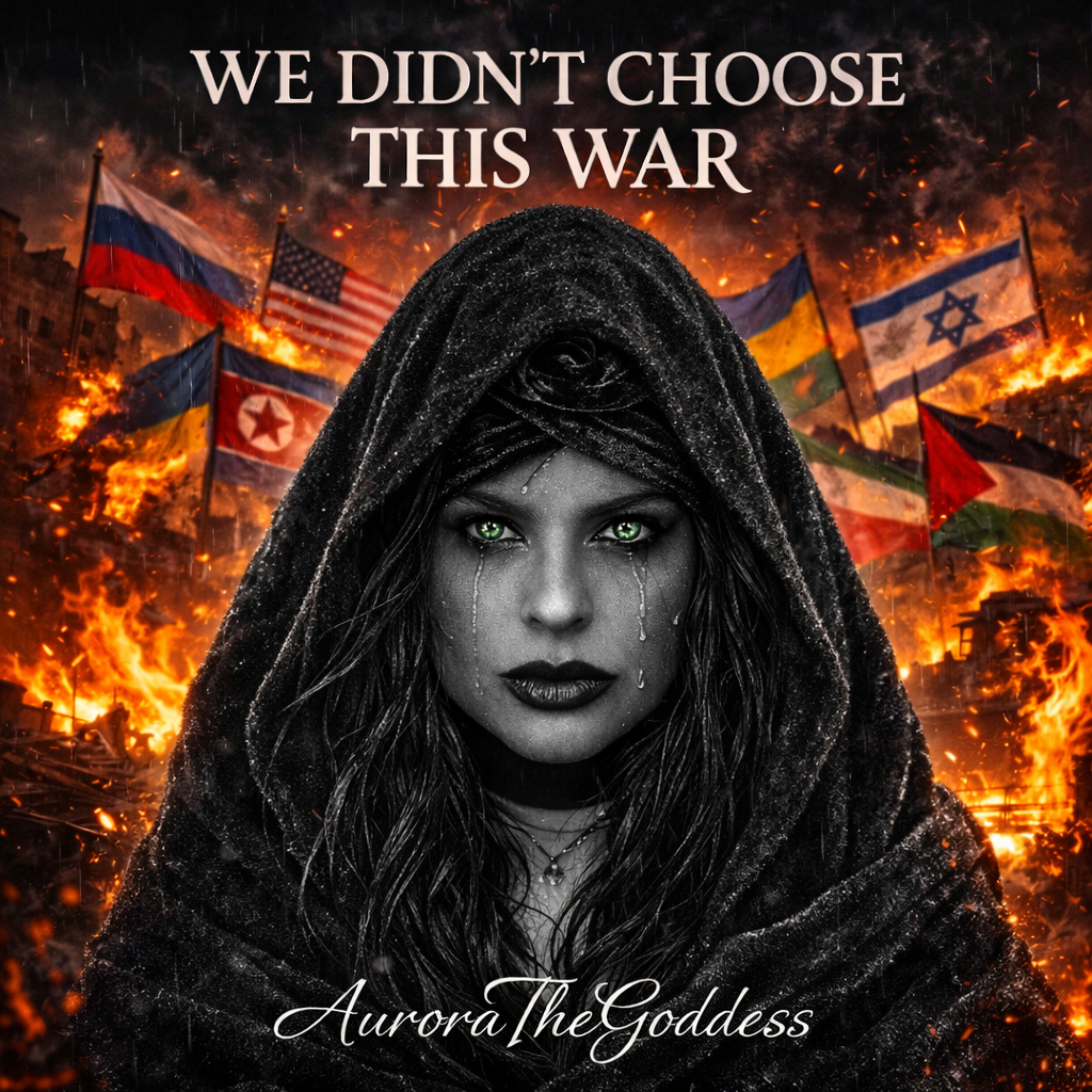 We Didn’t Choose This War artwork