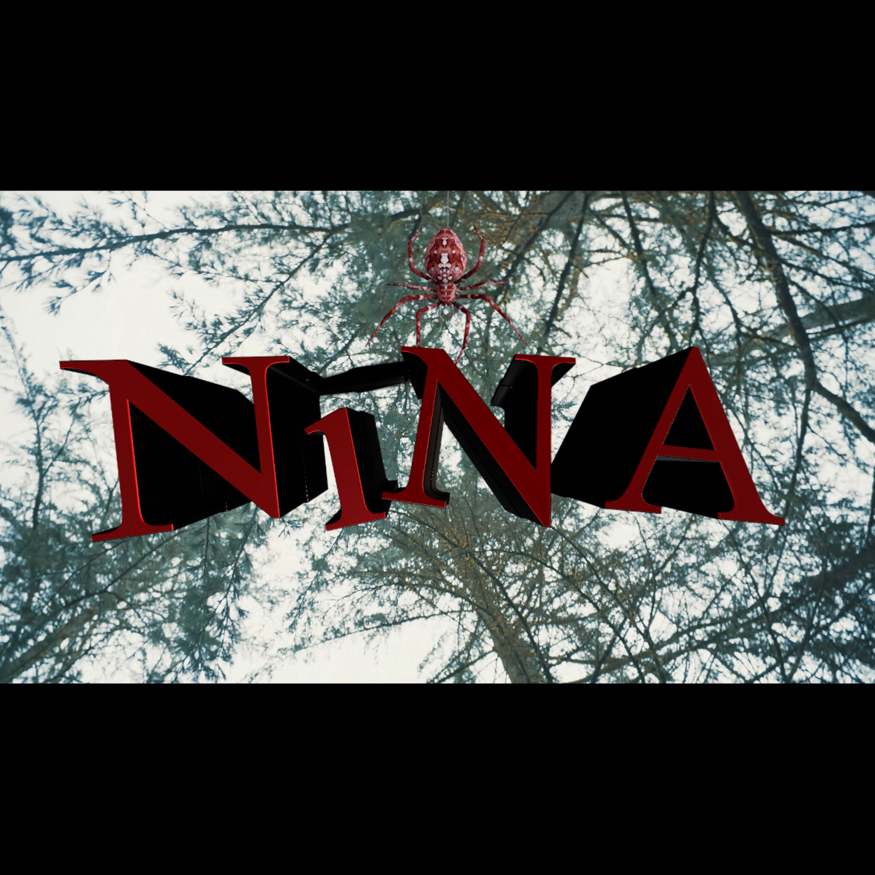 NINA artwork