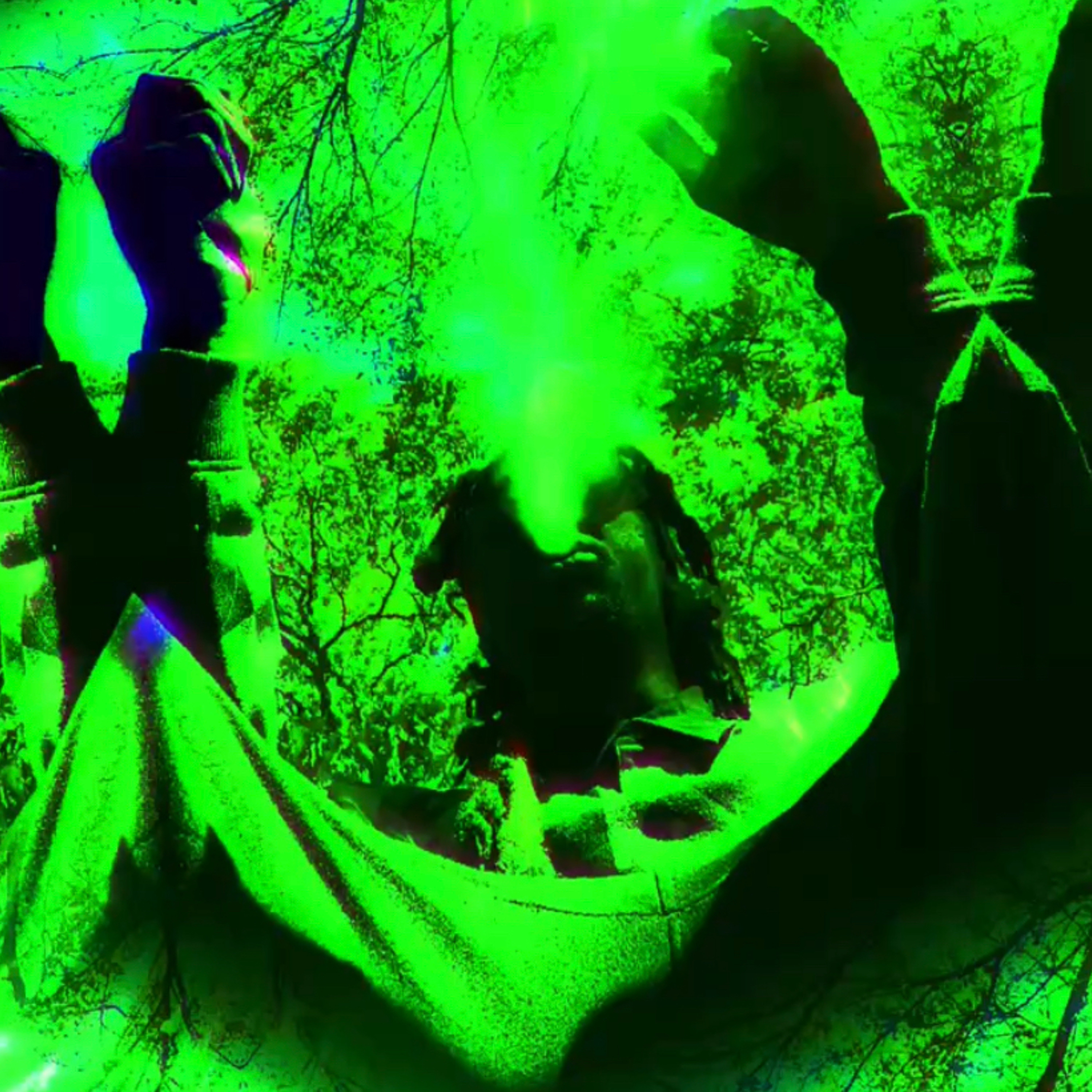 Luv Jungle artwork