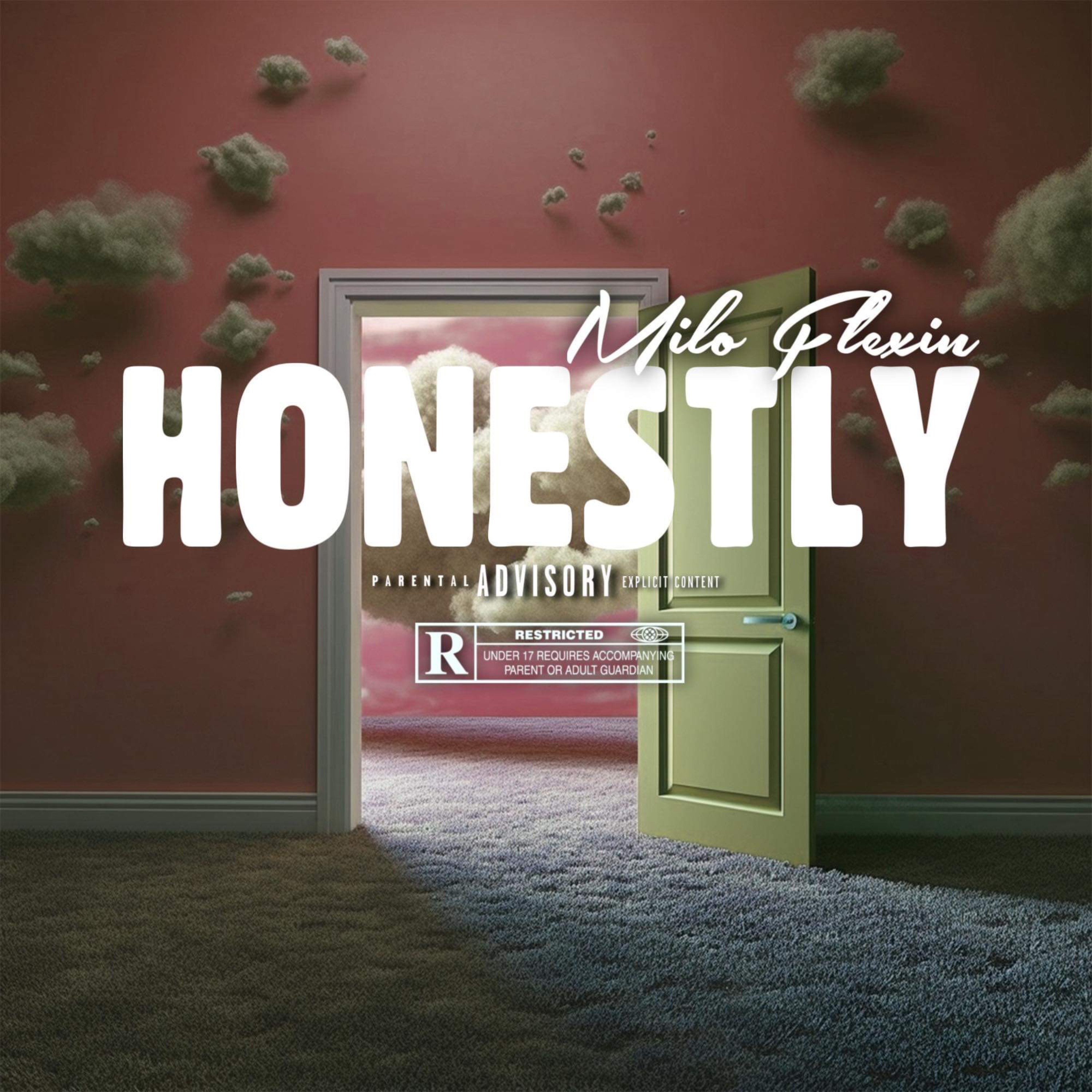 Honestly artwork