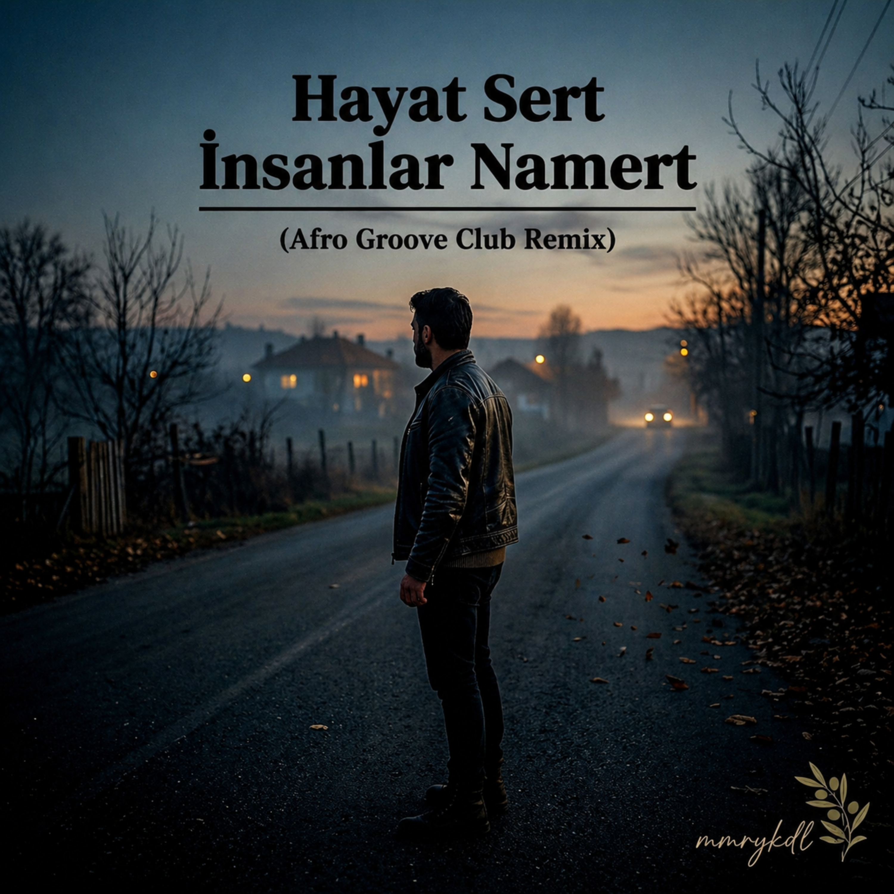 Hayat Sert İnsanlar Nâmert (afro groove club remix) artwork