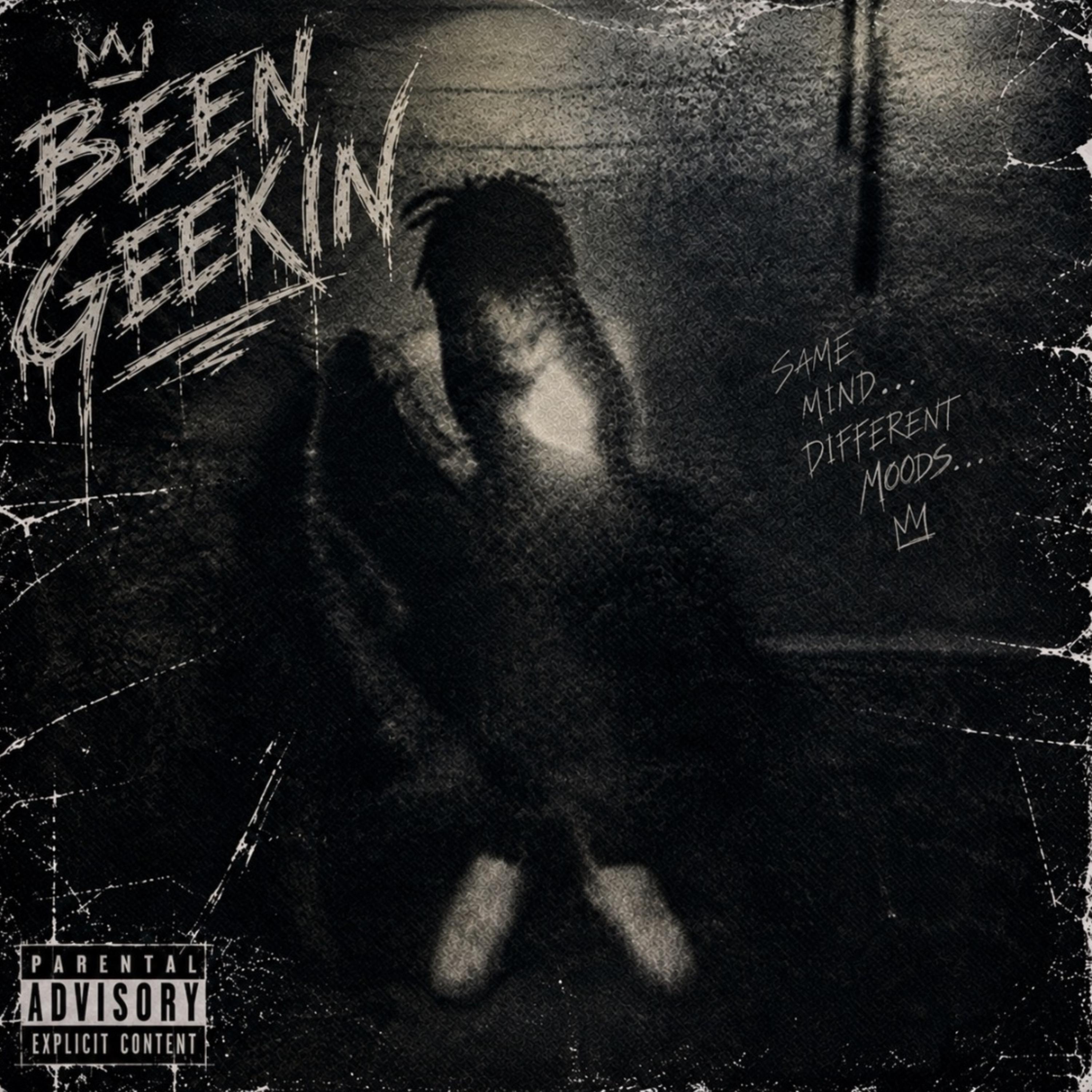 Been Geekin by Envy Majin cover art