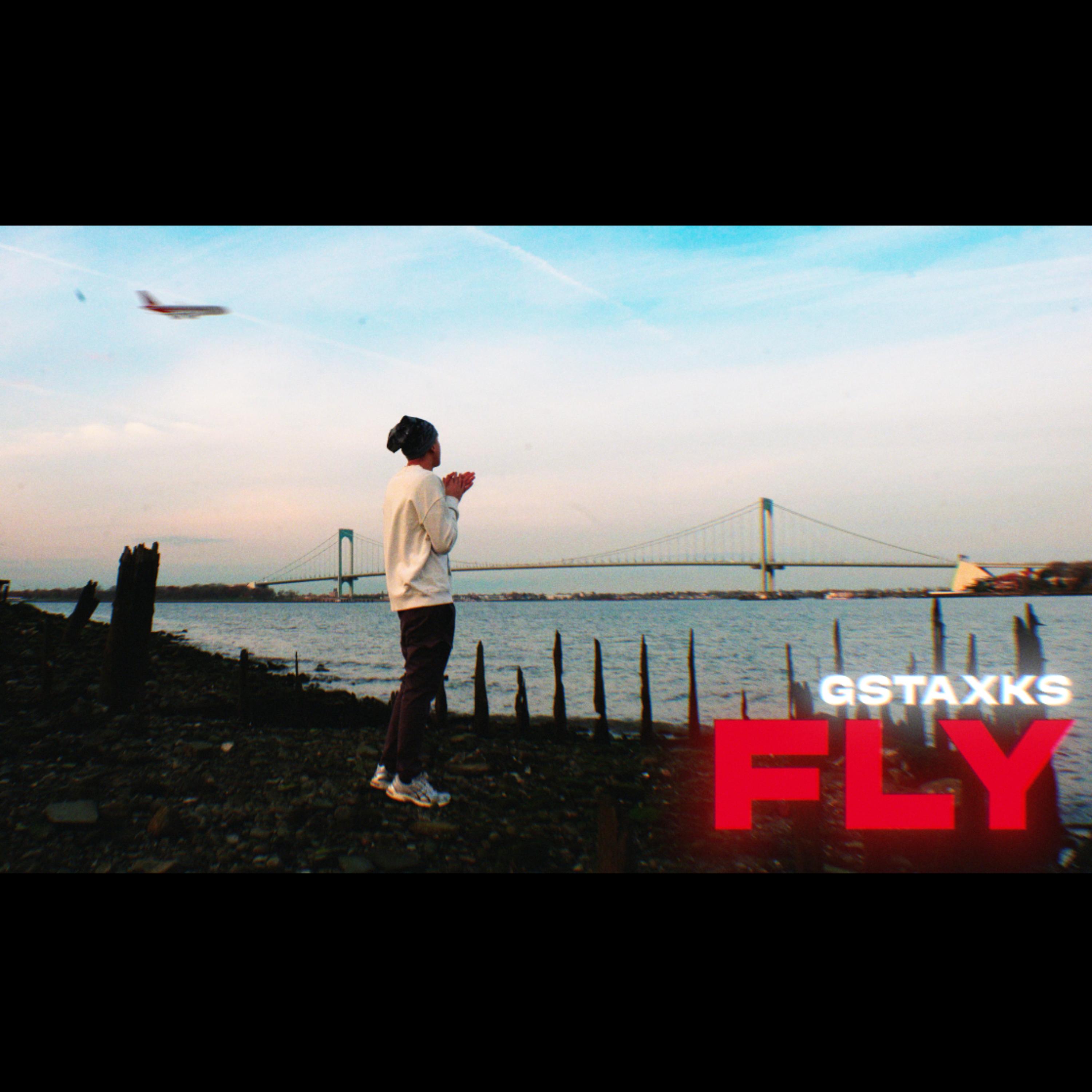 FLY artwork