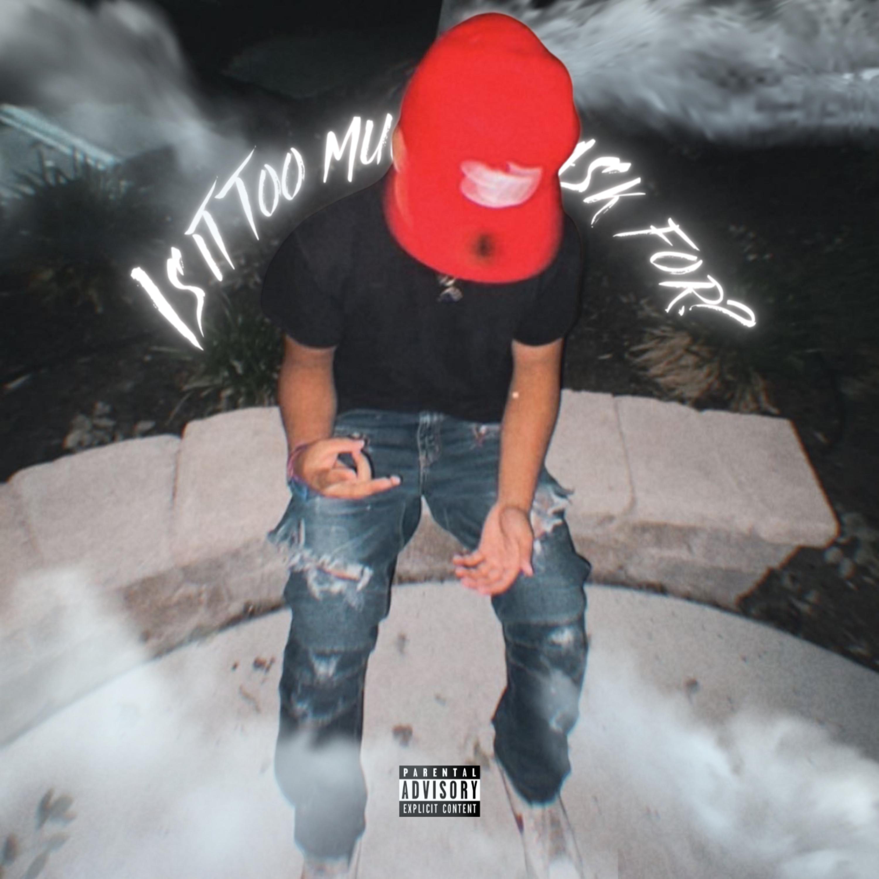 Is It Too Much To Ask For? artwork