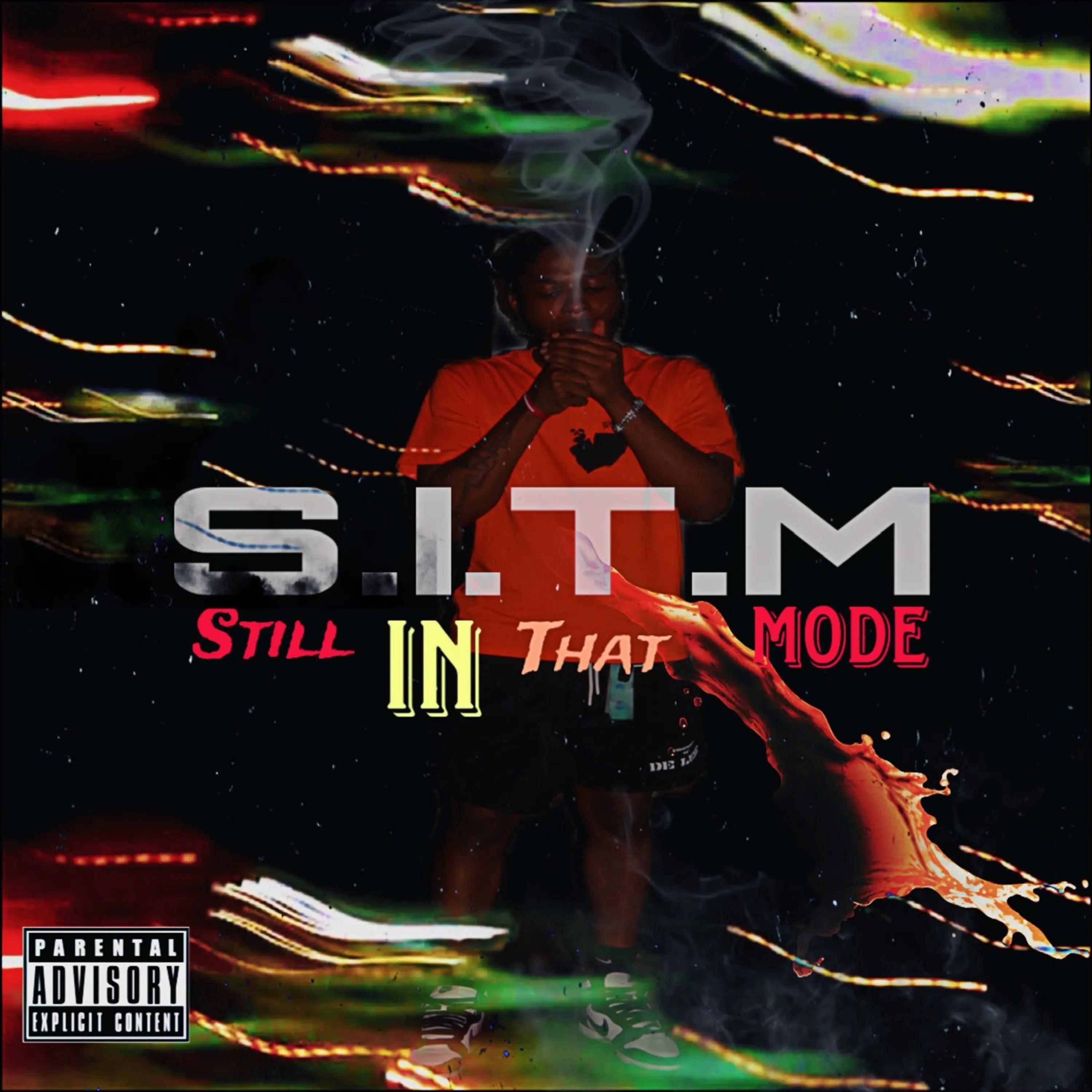 S.I.T.M artwork