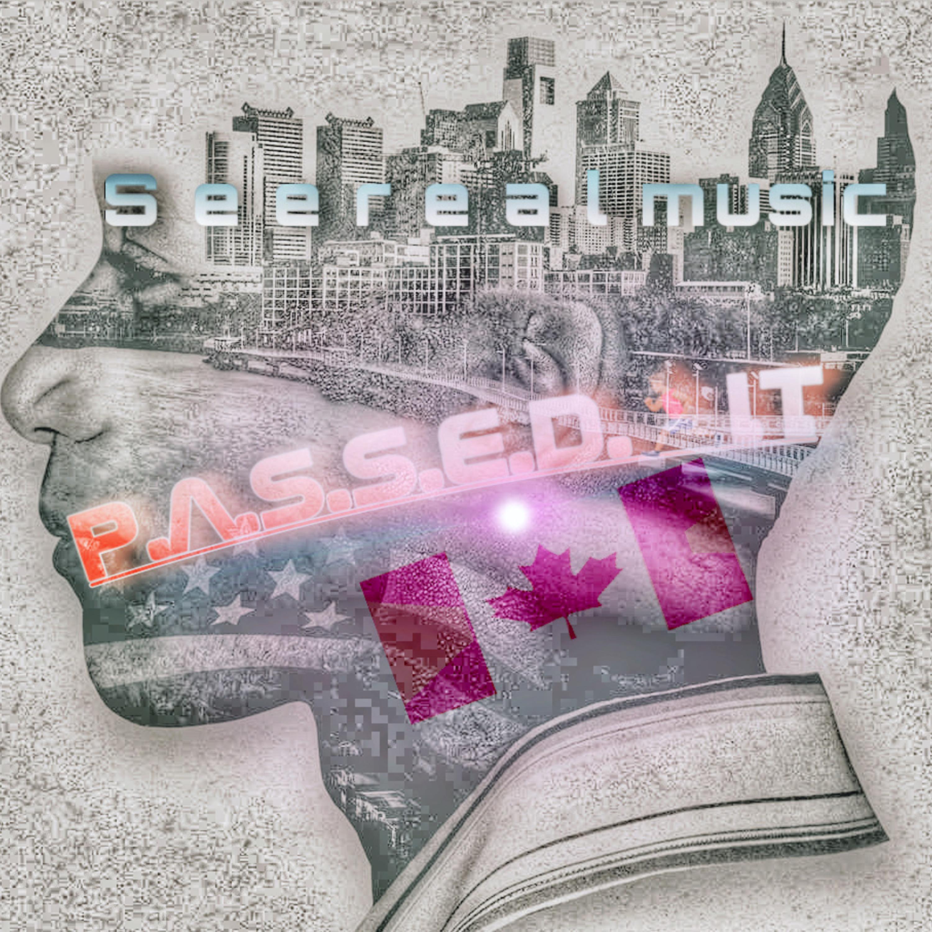 P.a.s.s.e.d. I.T. (Slavery) artwork