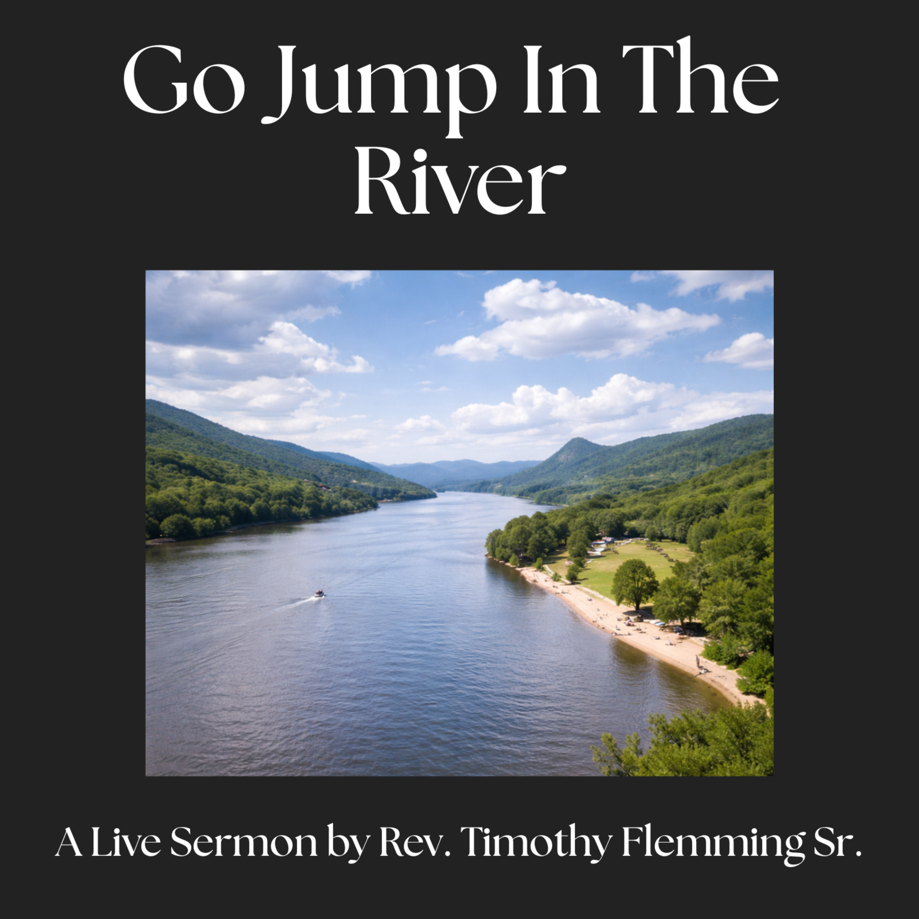 Go Jump In The River artwork