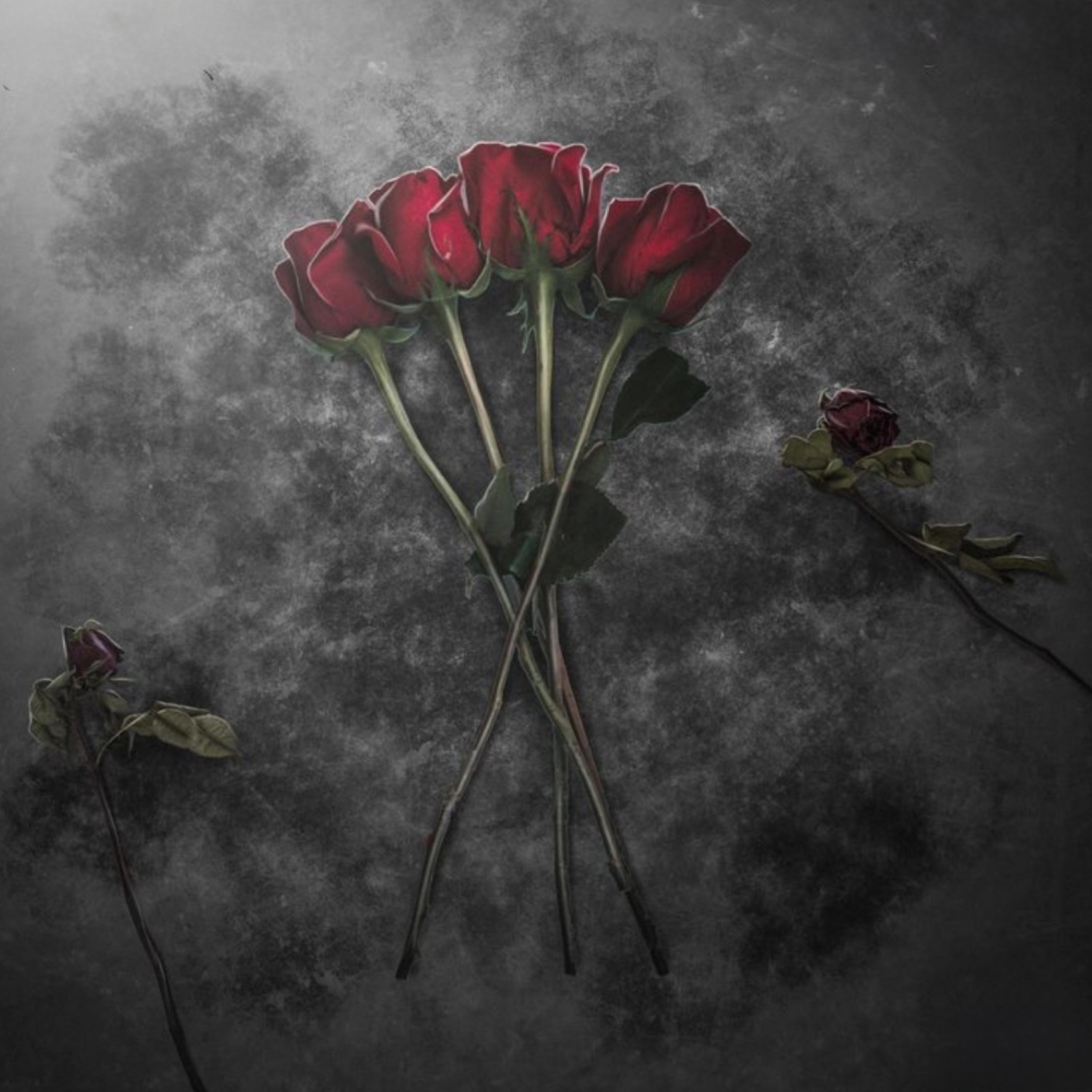 Find A Better Life artwork