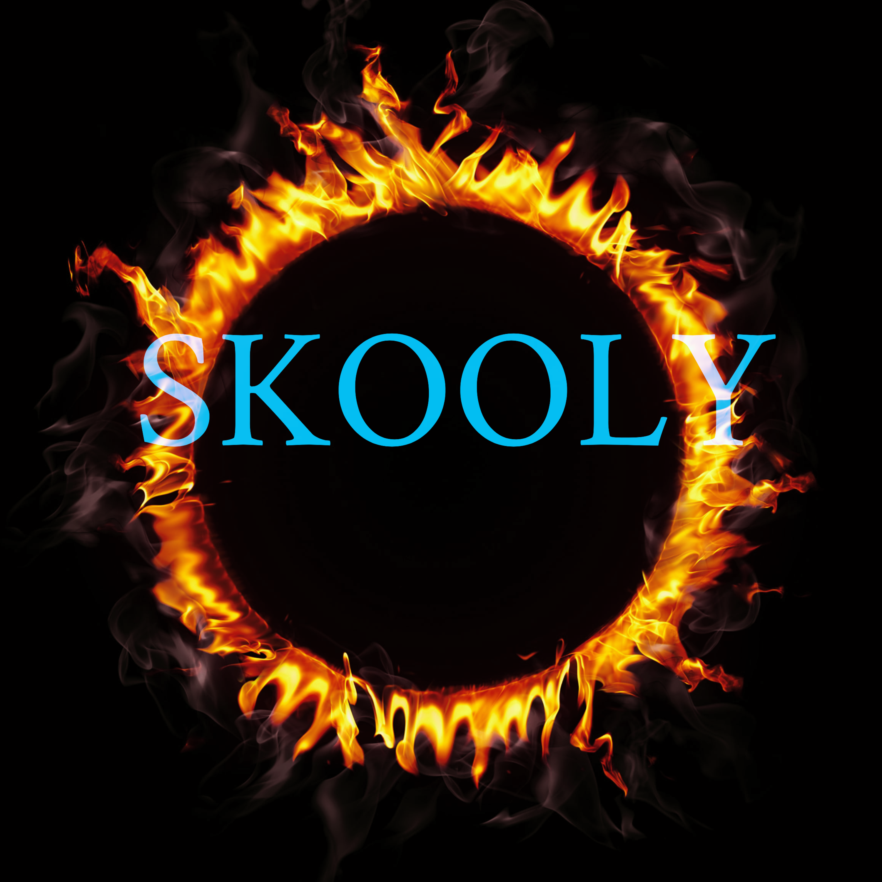Skooly artwork