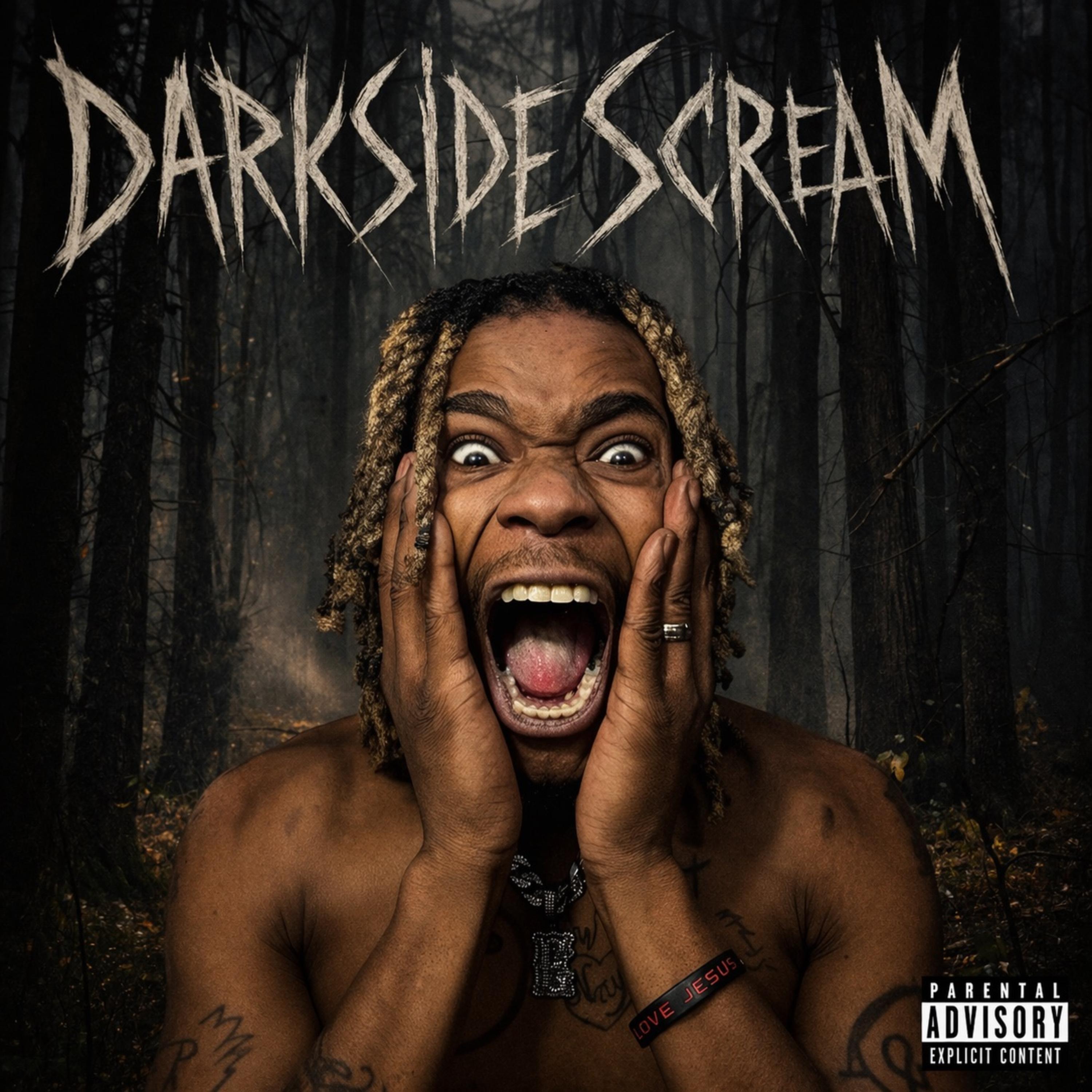 DarkSide Screen by Danger savage cover art