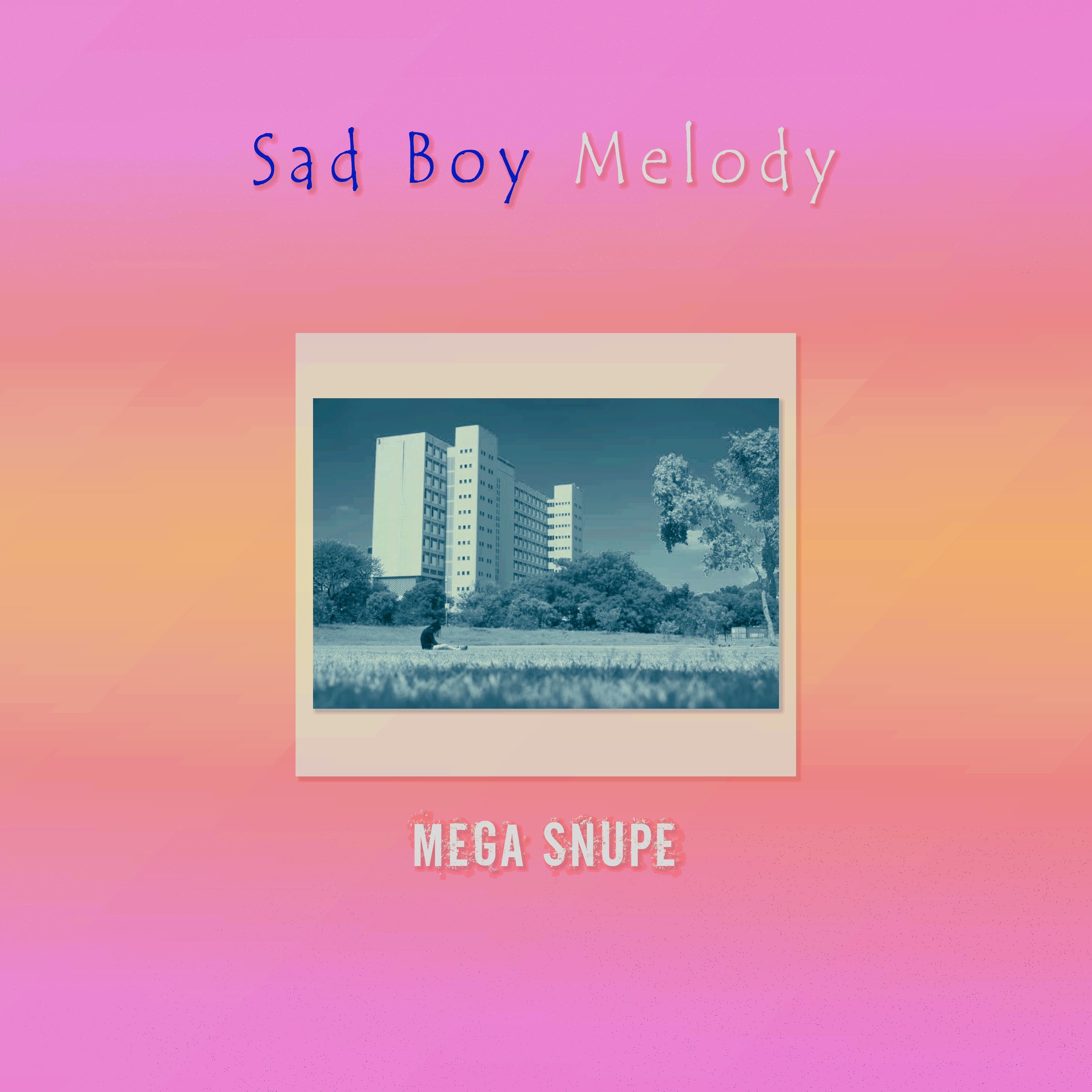 SAD BOY MELODY artwork