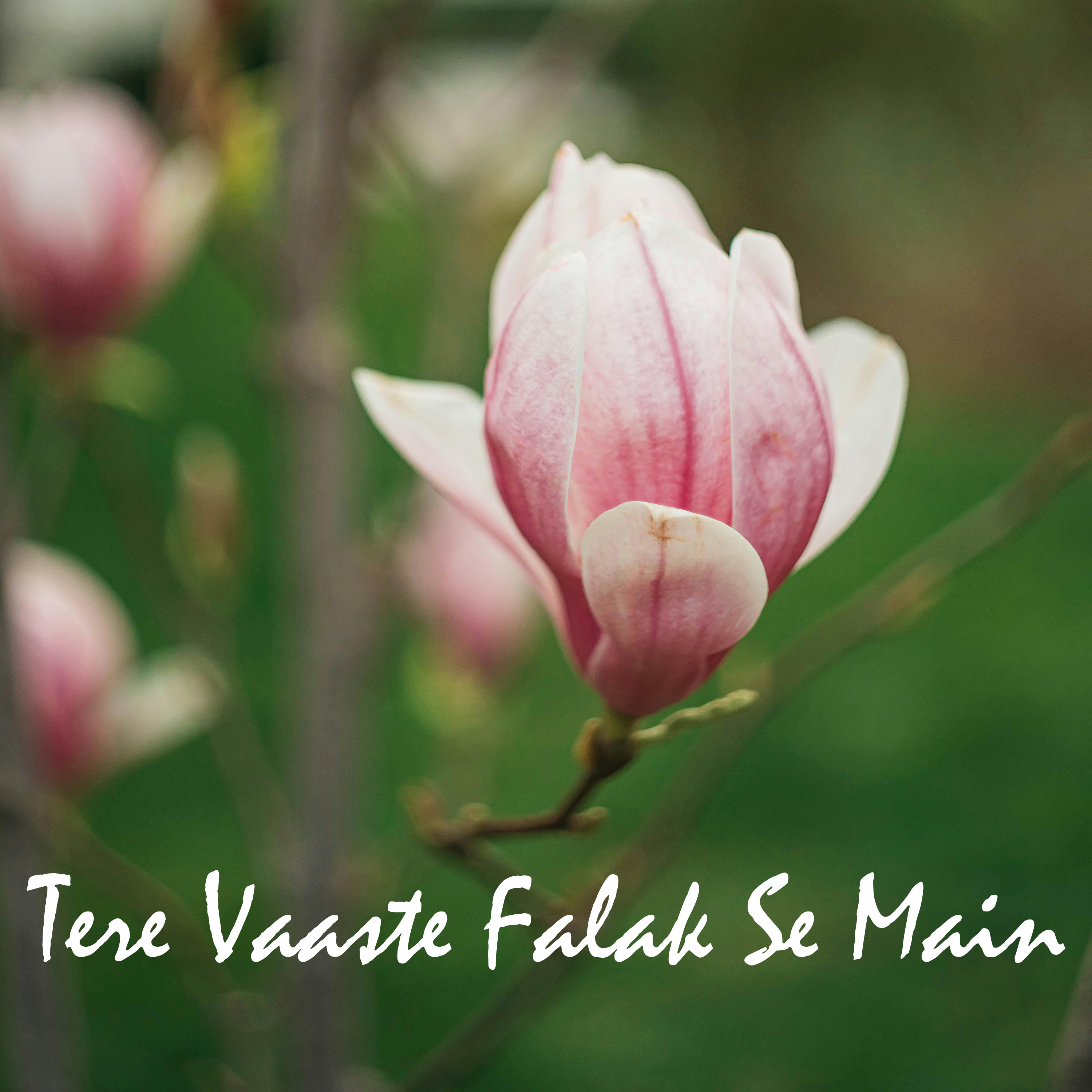 Tere Vaaste Falak Se Main by Ananya Roy Ishita cover art